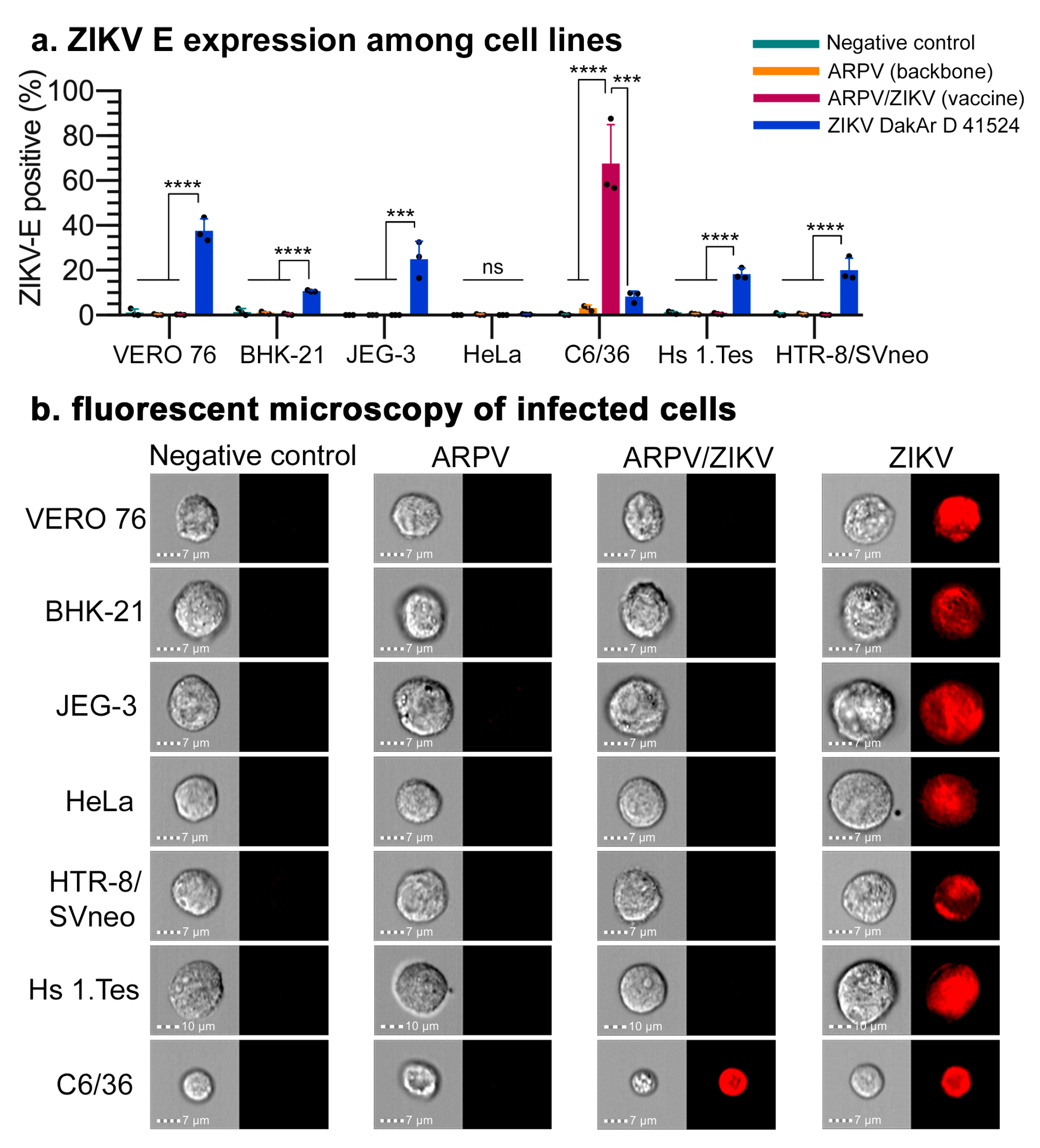 Vaccines 09 01142 g002