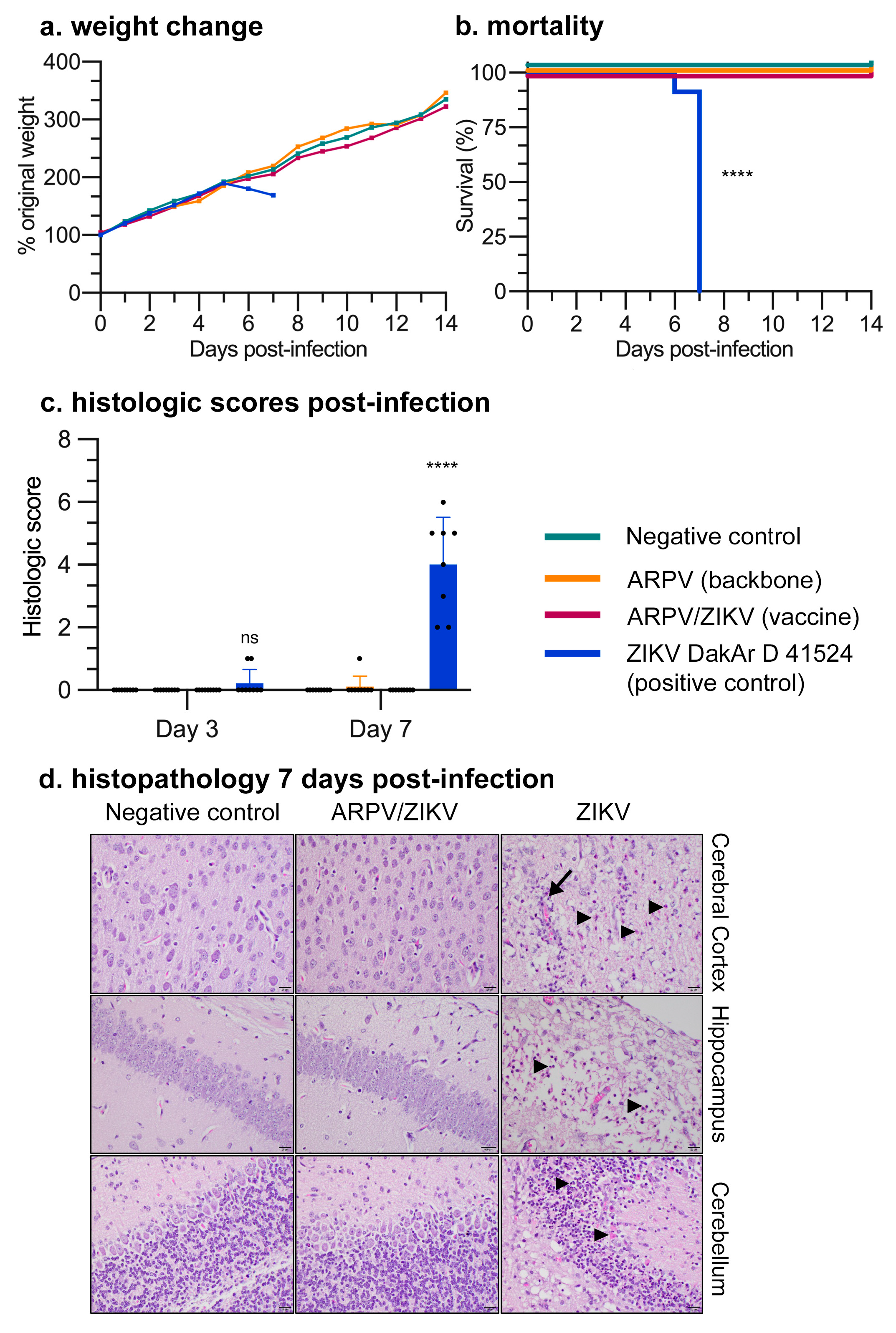 Vaccines 09 01142 g003