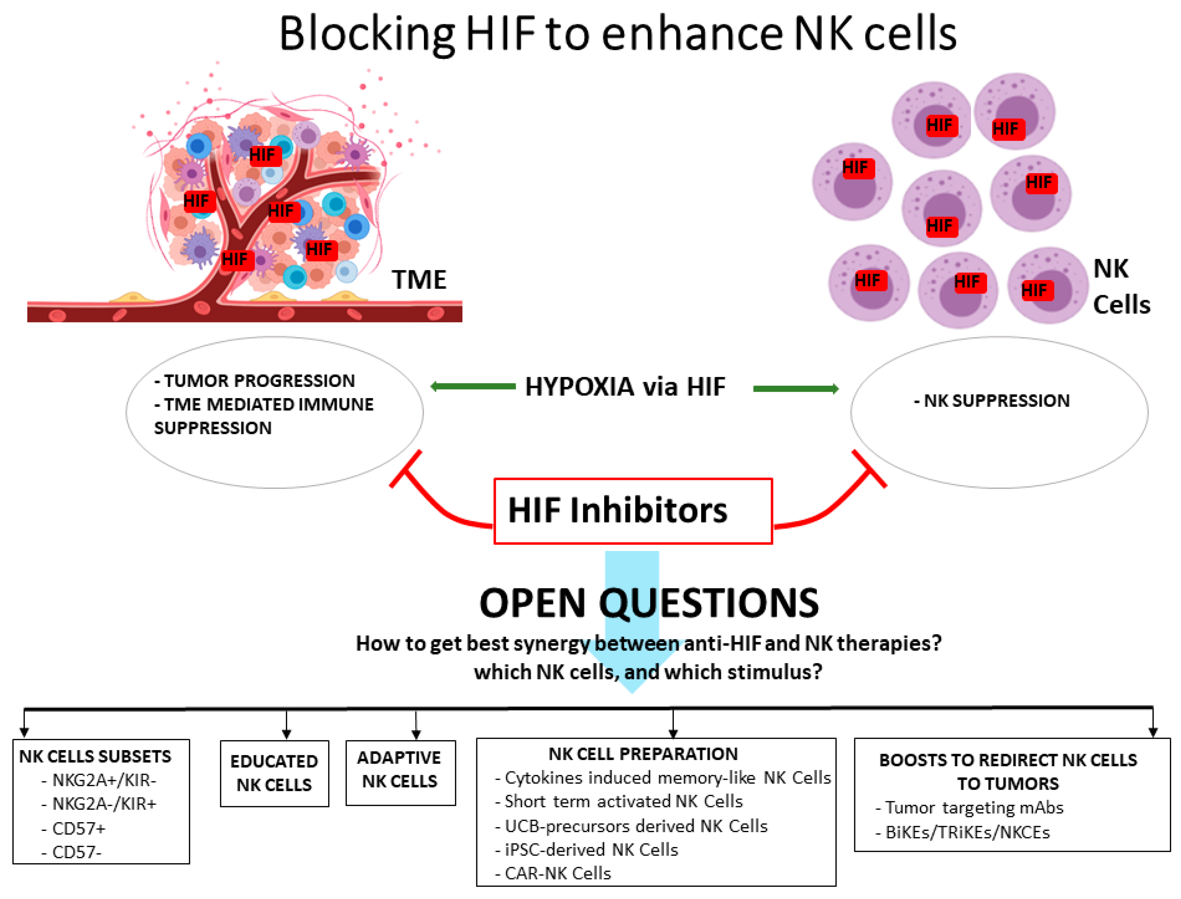 Vaccines 09 01144 g001 550