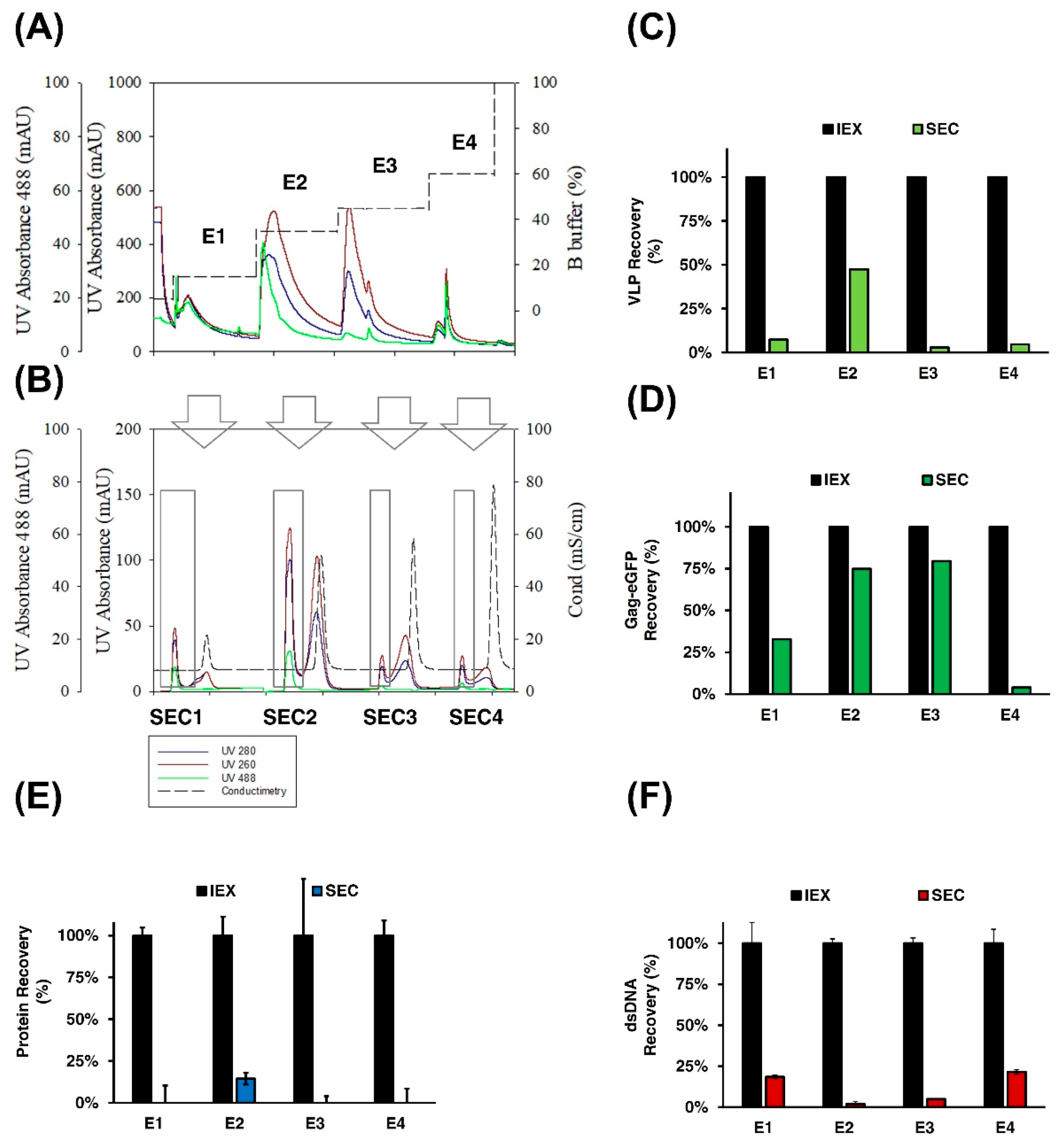 Vaccines 09 01154 g005