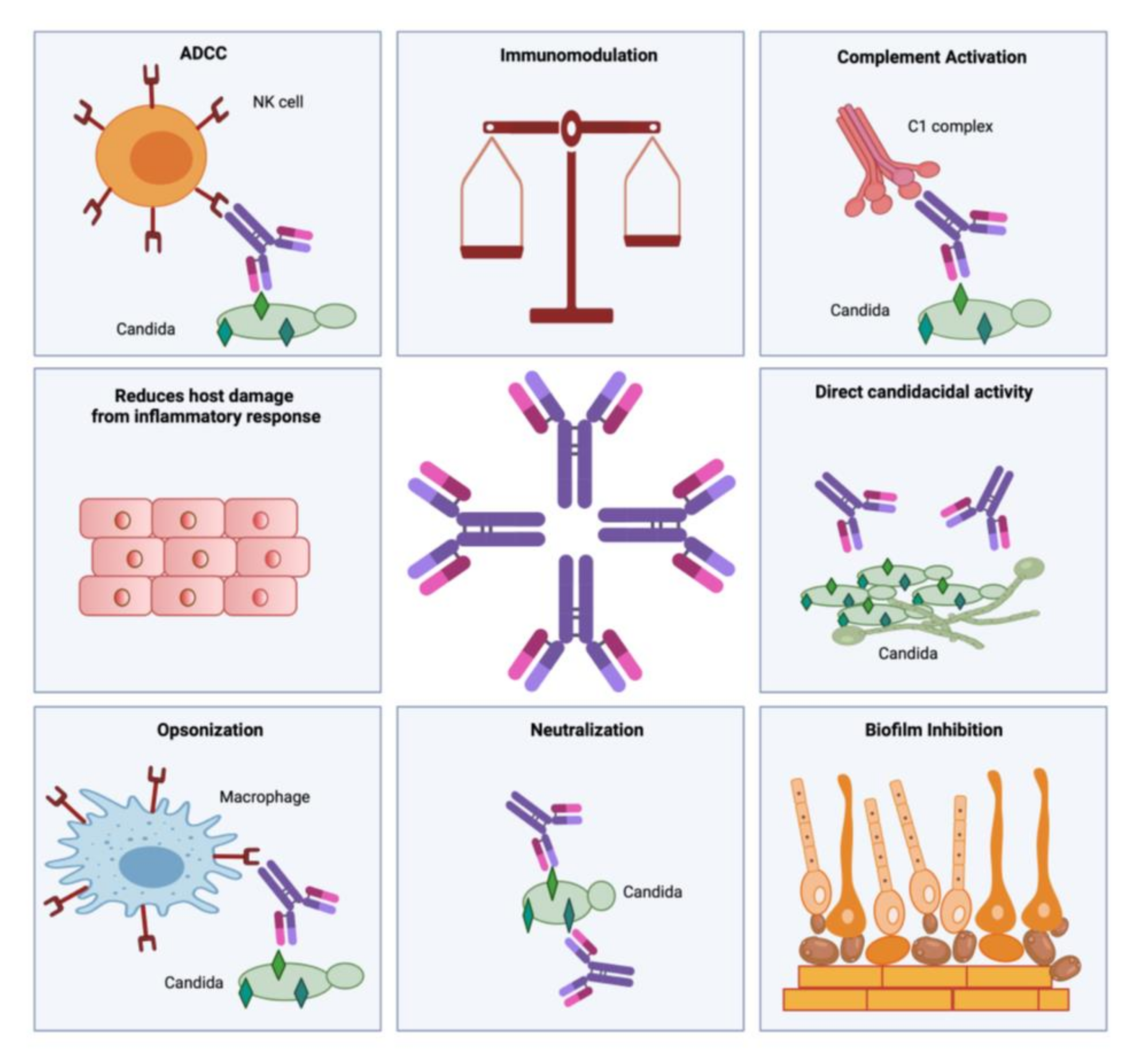 Vaccines | Free Full-Text | The Role of B-Cells and Antibodies 