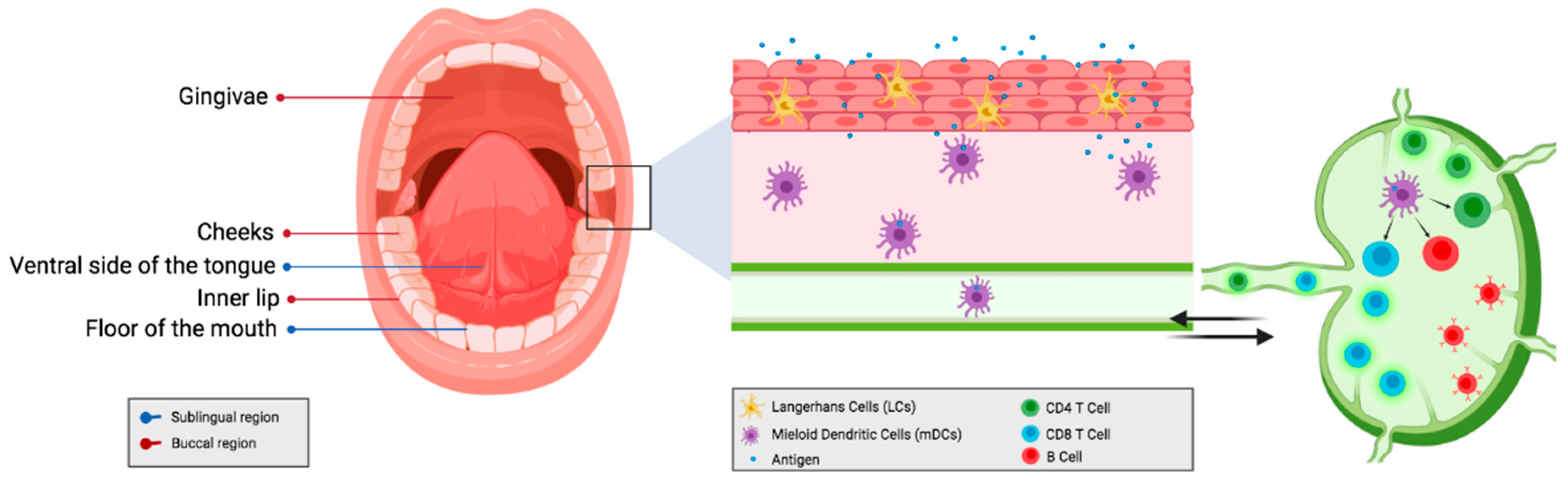 Vaccines 09 01177 g001 Vaccines 09 01177 g001