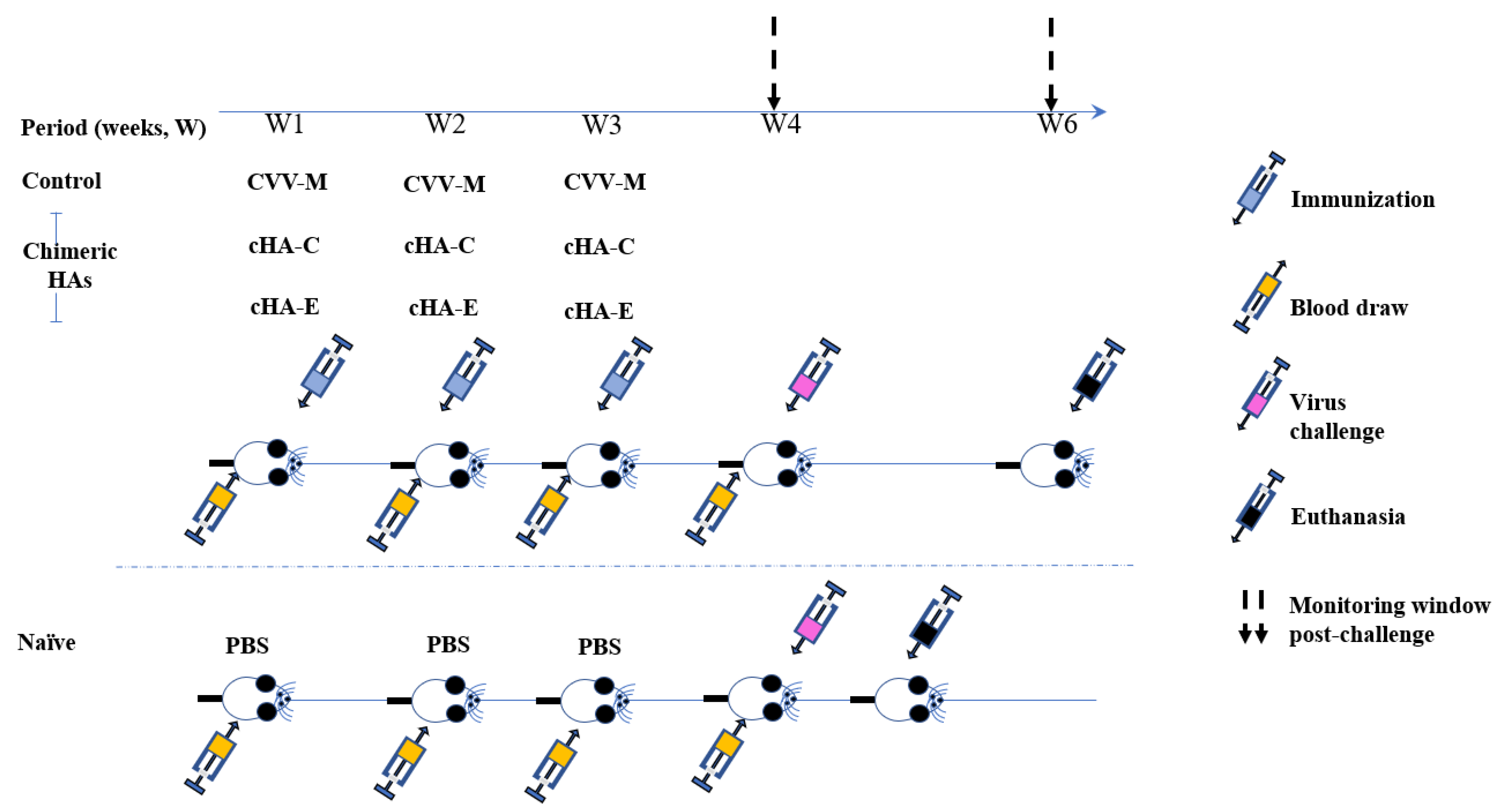 Vaccines 09 01182 g001