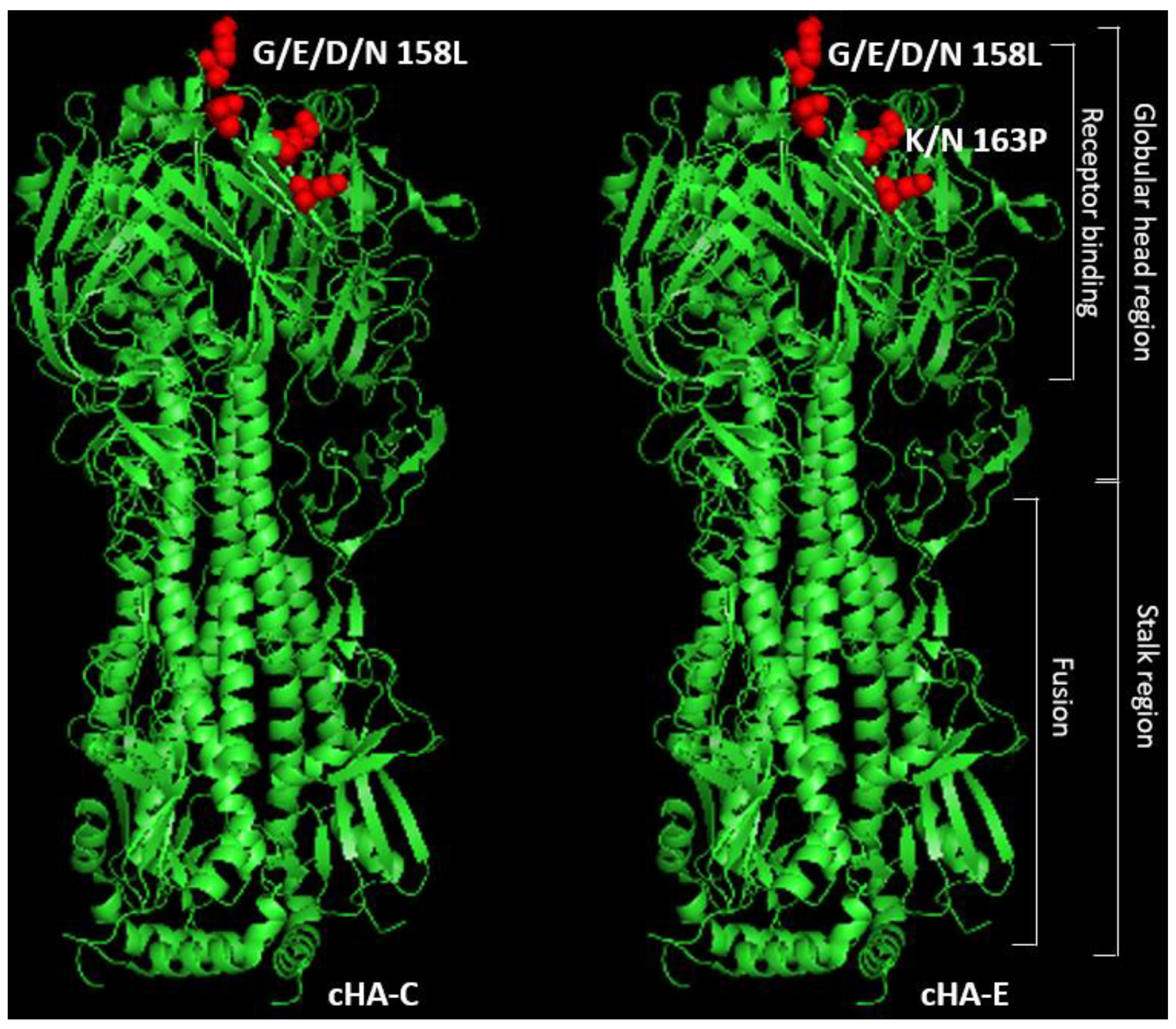 Vaccines 09 01182 g003