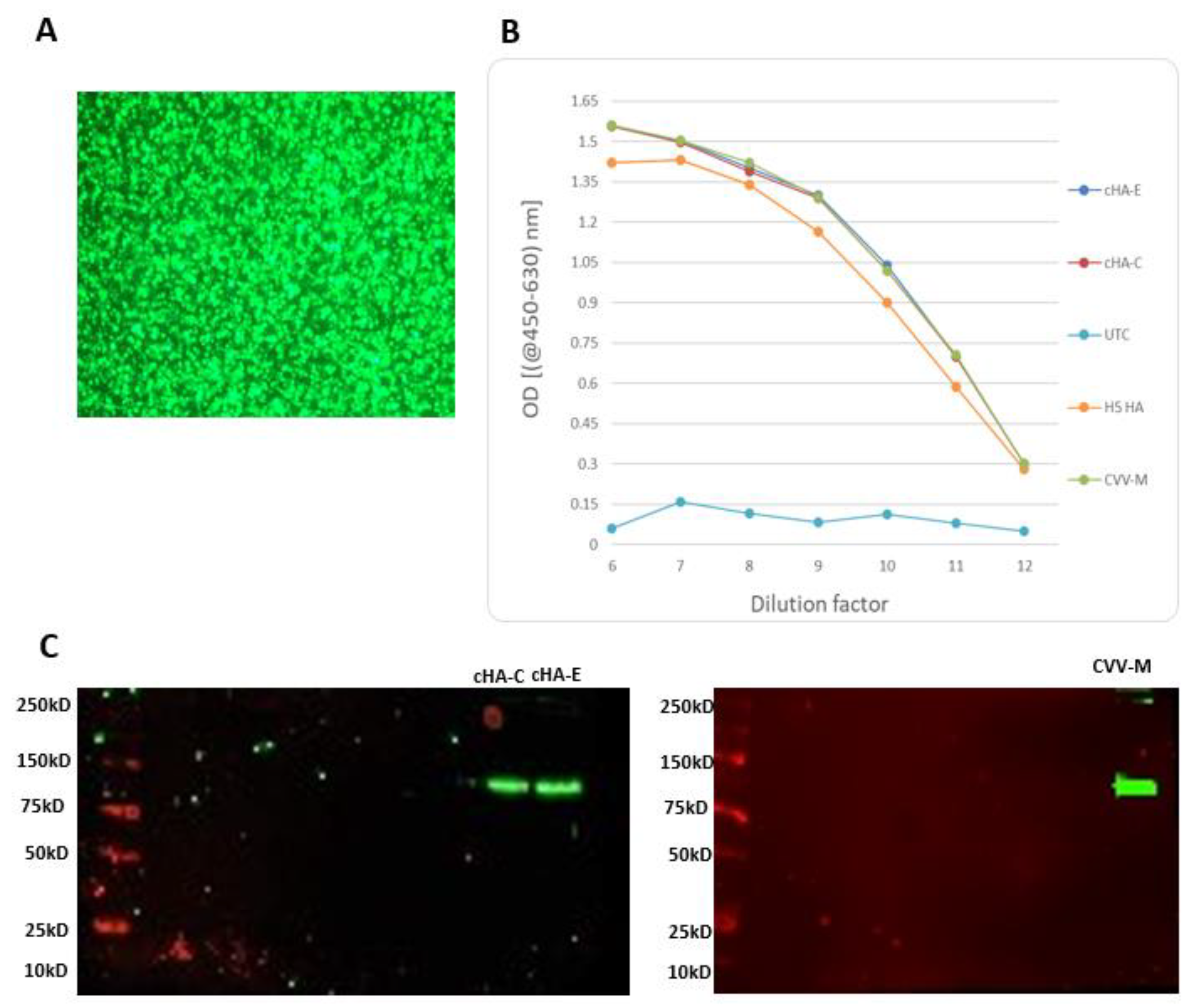 Vaccines 09 01182 g006