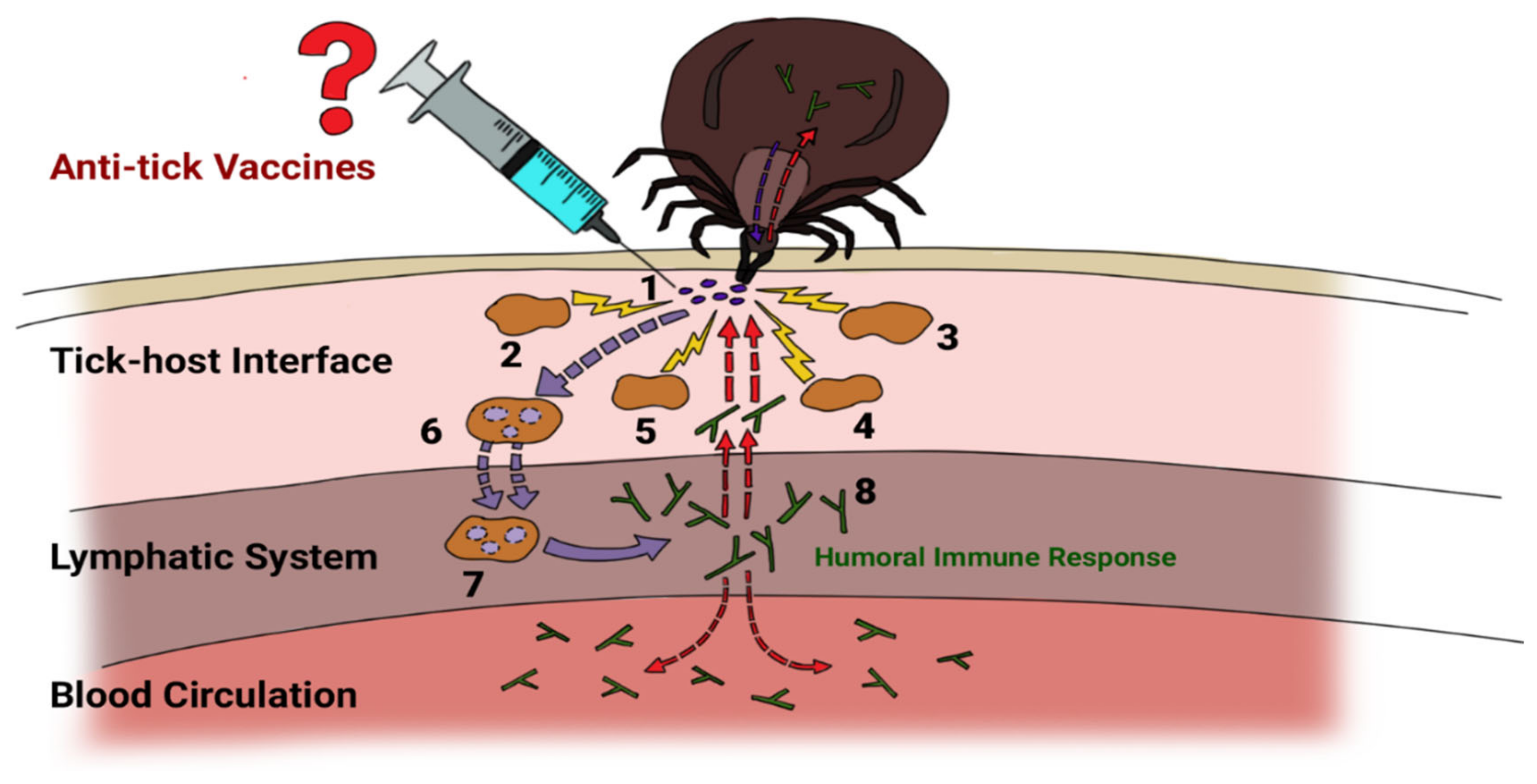 Vaccines 09 01185 g001 Vaccines 09 01185 g001