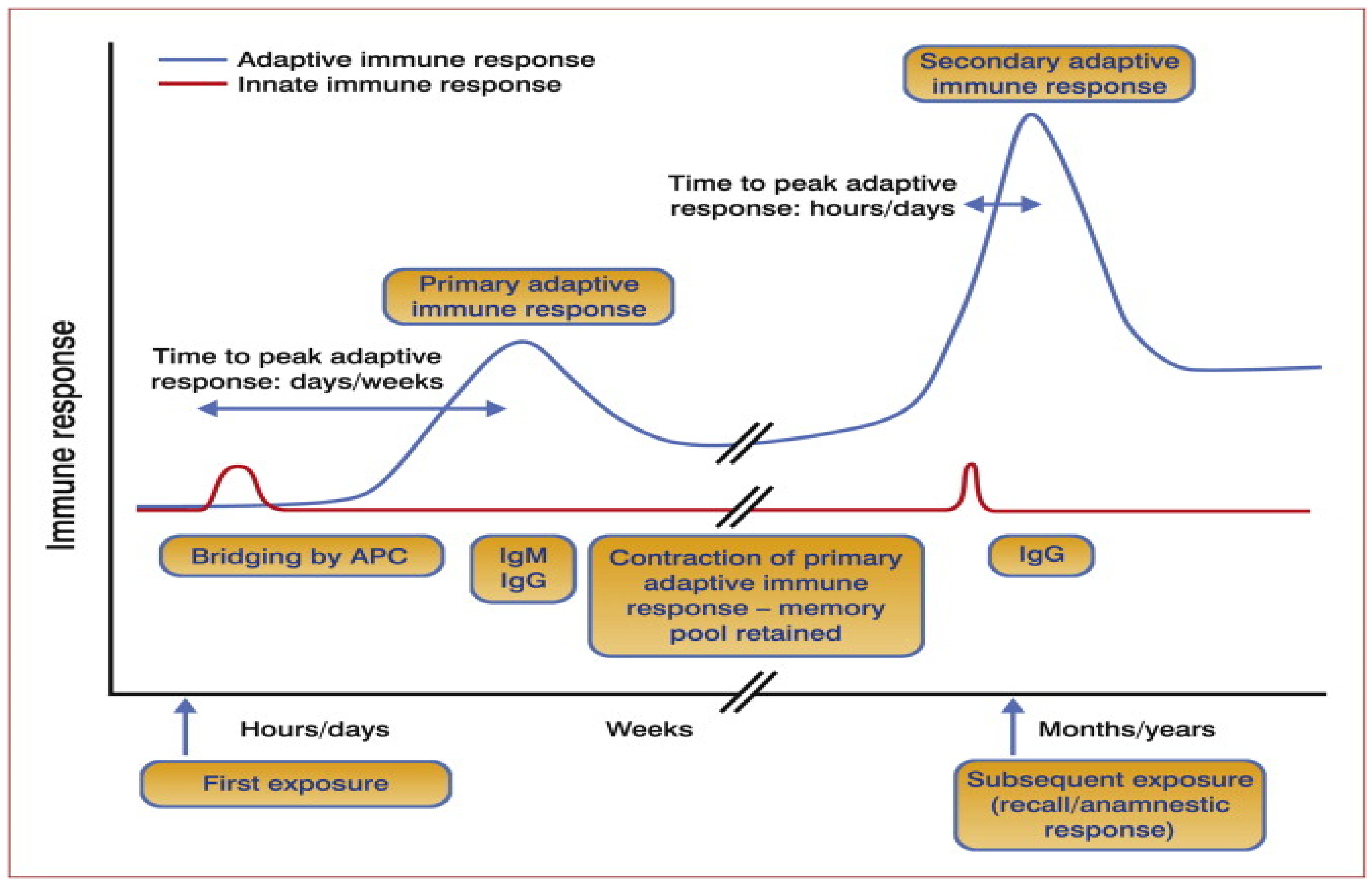 Vaccines 09 01185 g003 Vaccines 09 01185 g003