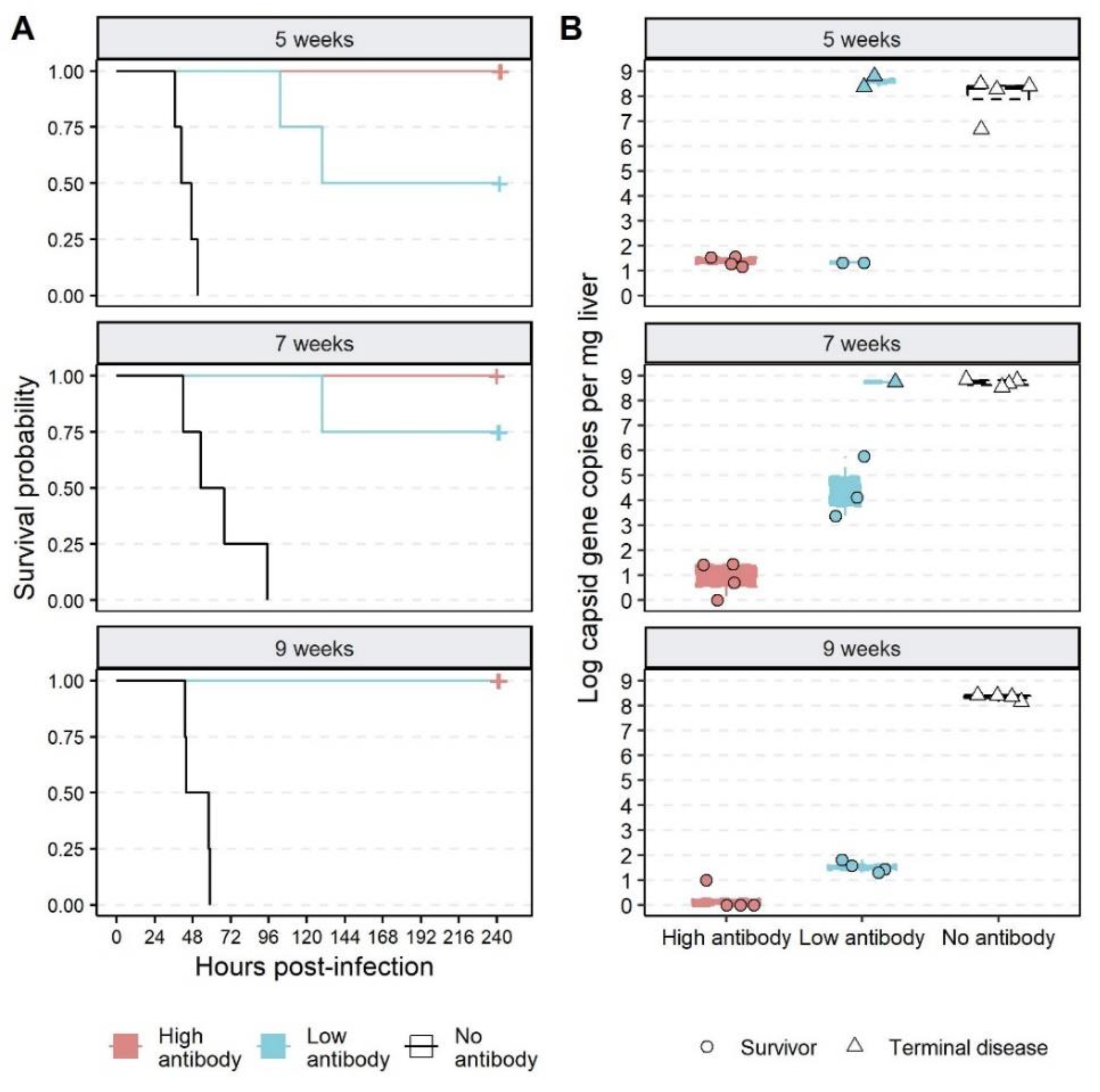 Vaccines 09 01197 g003