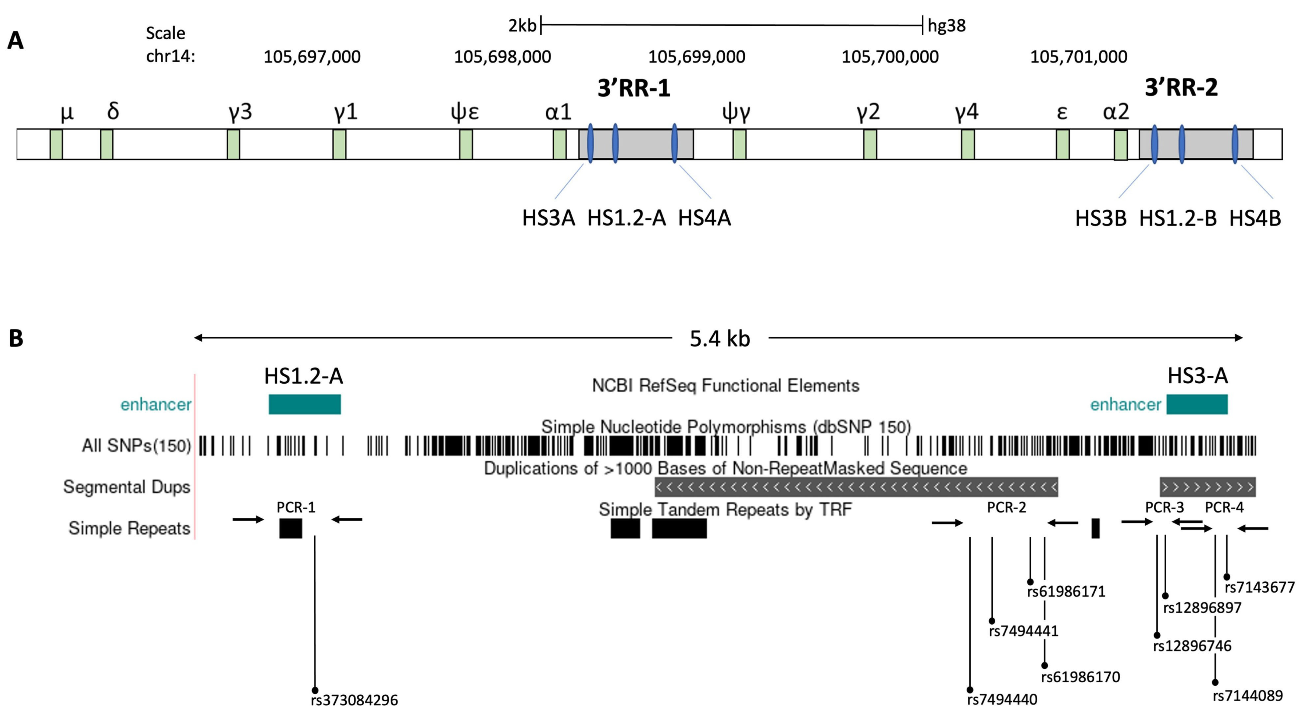 Vaccines 09 01207 g004 550