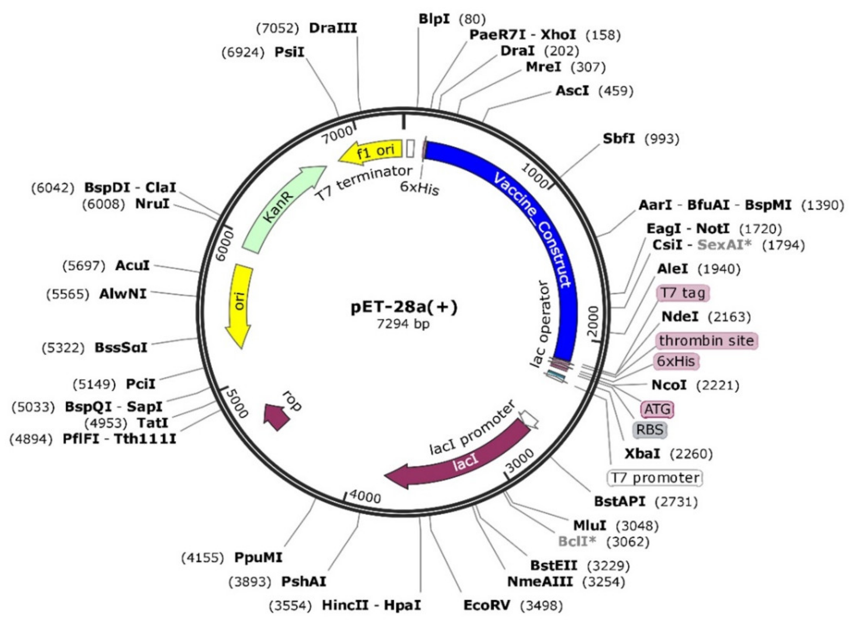 Vaccines 09 01210 g008