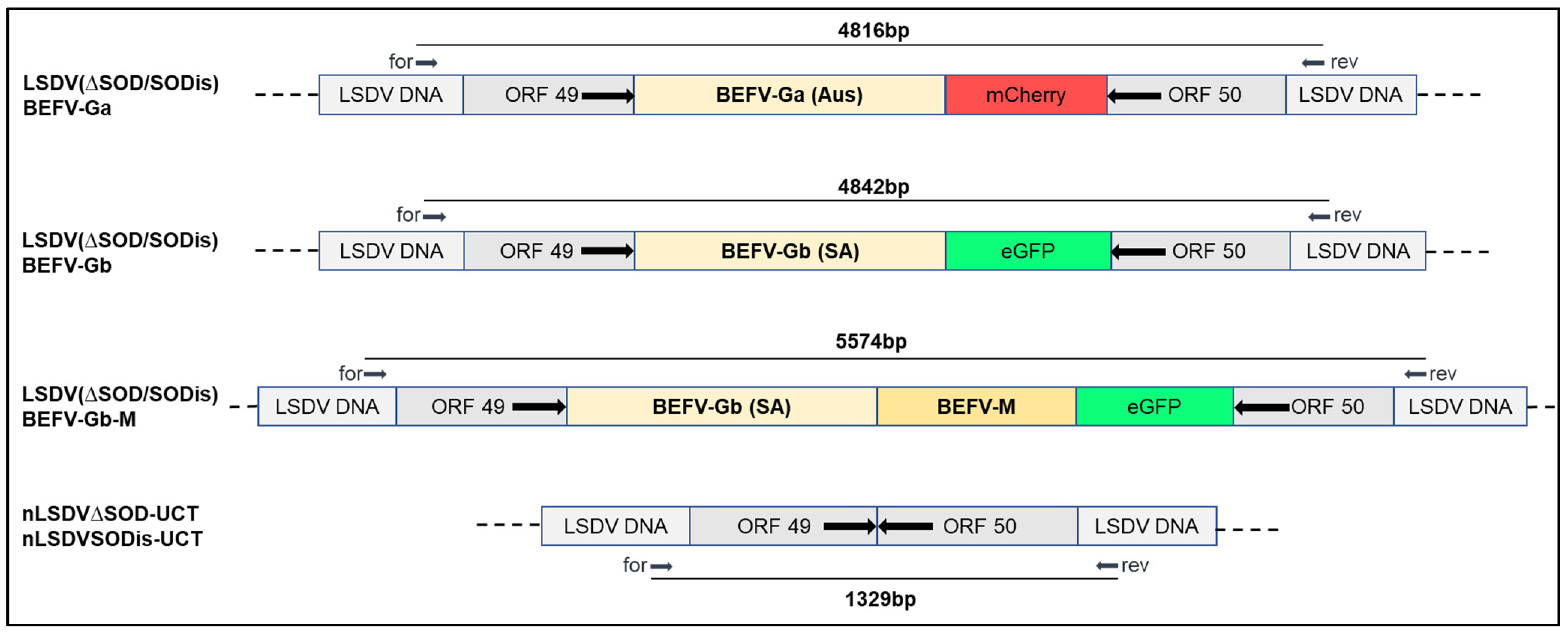 Vaccines 09 01215 g002