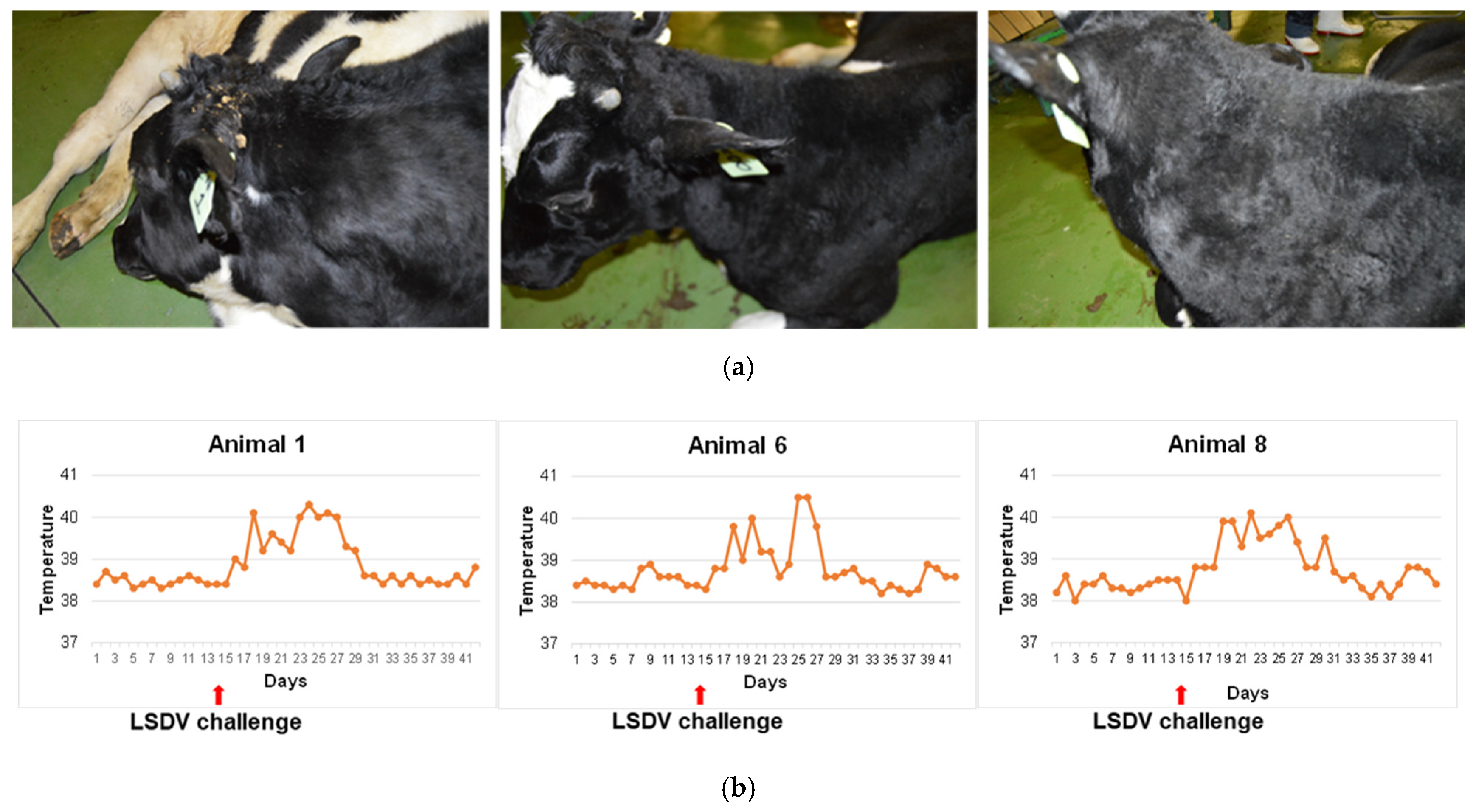 Vaccines 09 01215 g010
