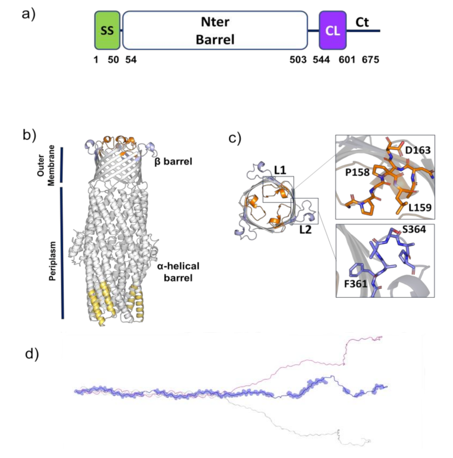 Vaccines 09 01219 g002 550