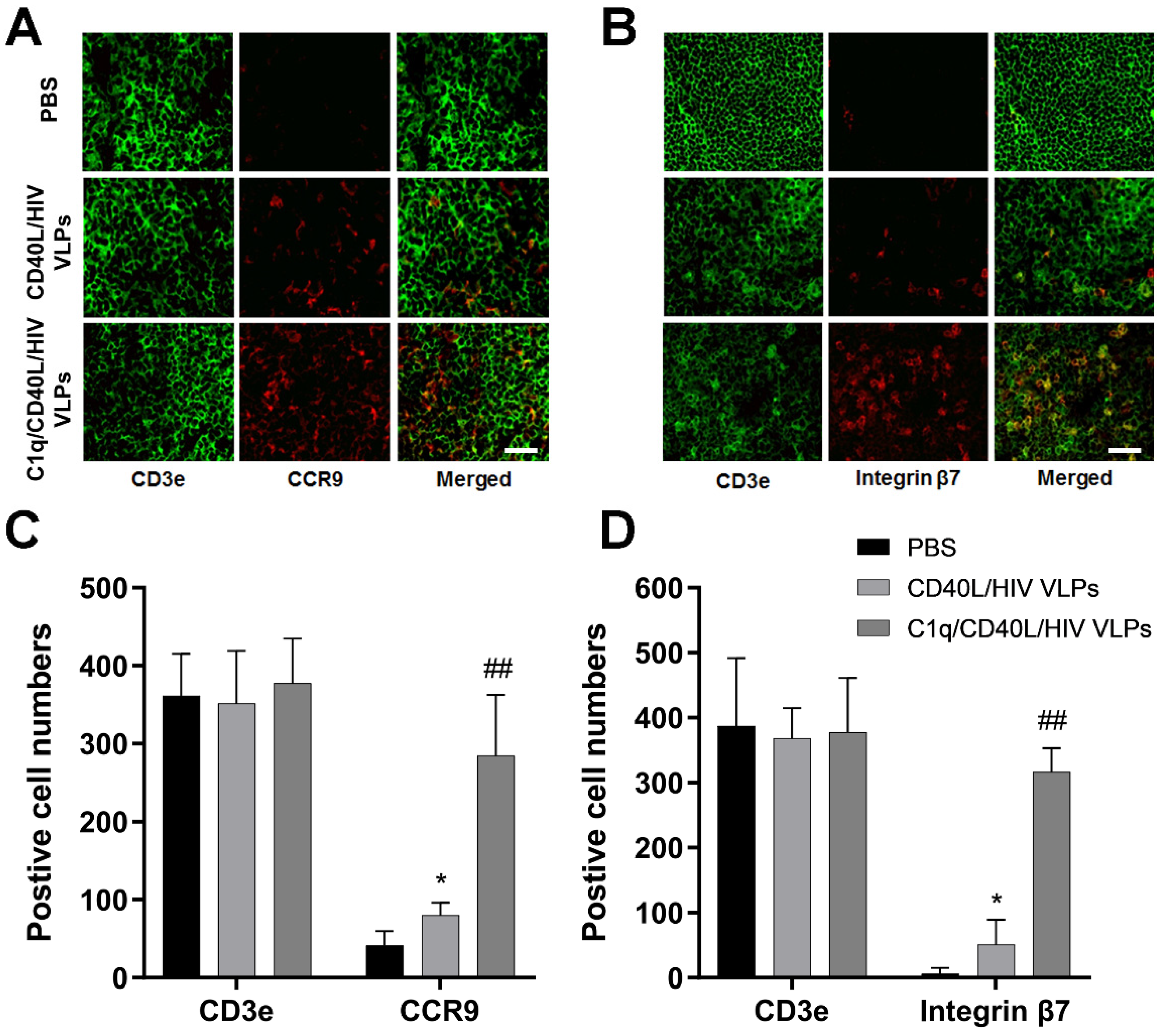Vaccines 09 01236 g006