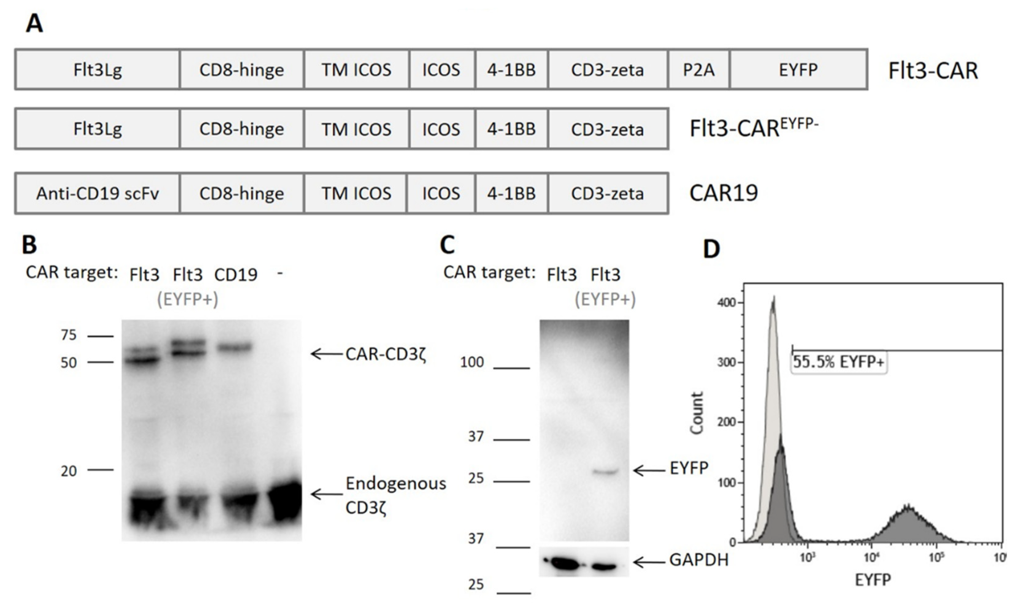 Vaccines 09 01238 g001 Vaccines 09 01238 g001