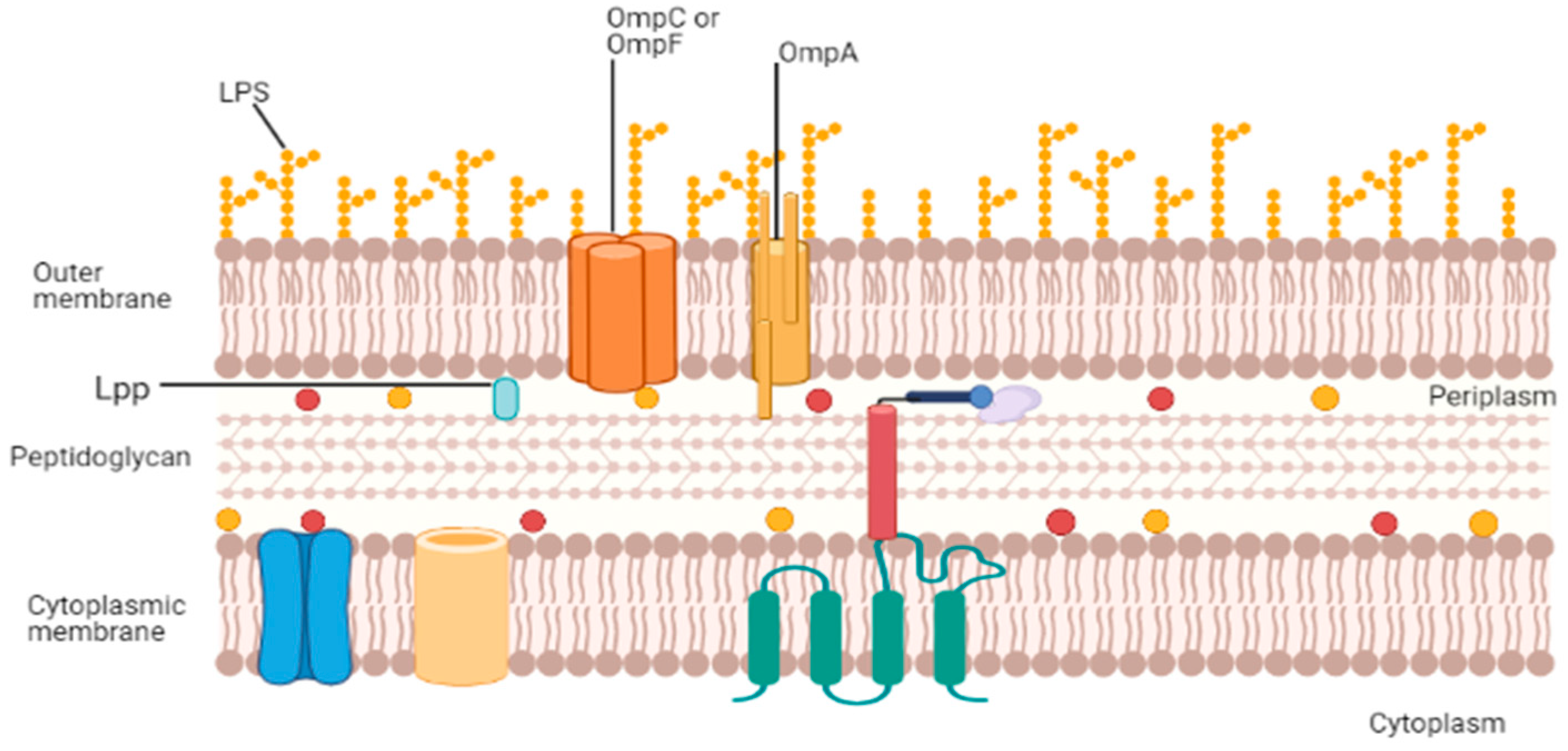 Vaccines 09 01245 g001 Vaccines 09 01245 g001