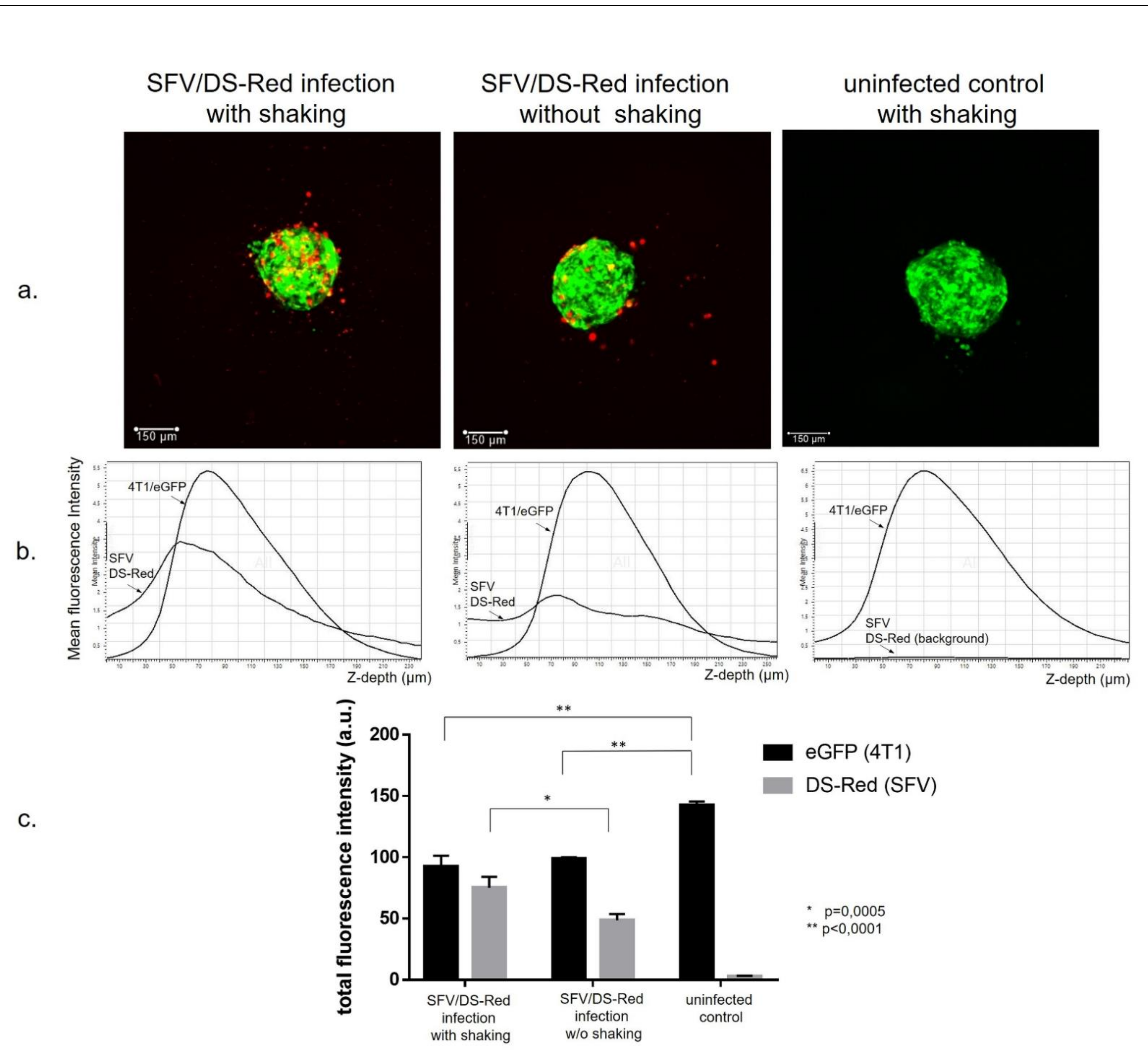 Vaccines 09 01247 g001 Vaccines 09 01247 g001