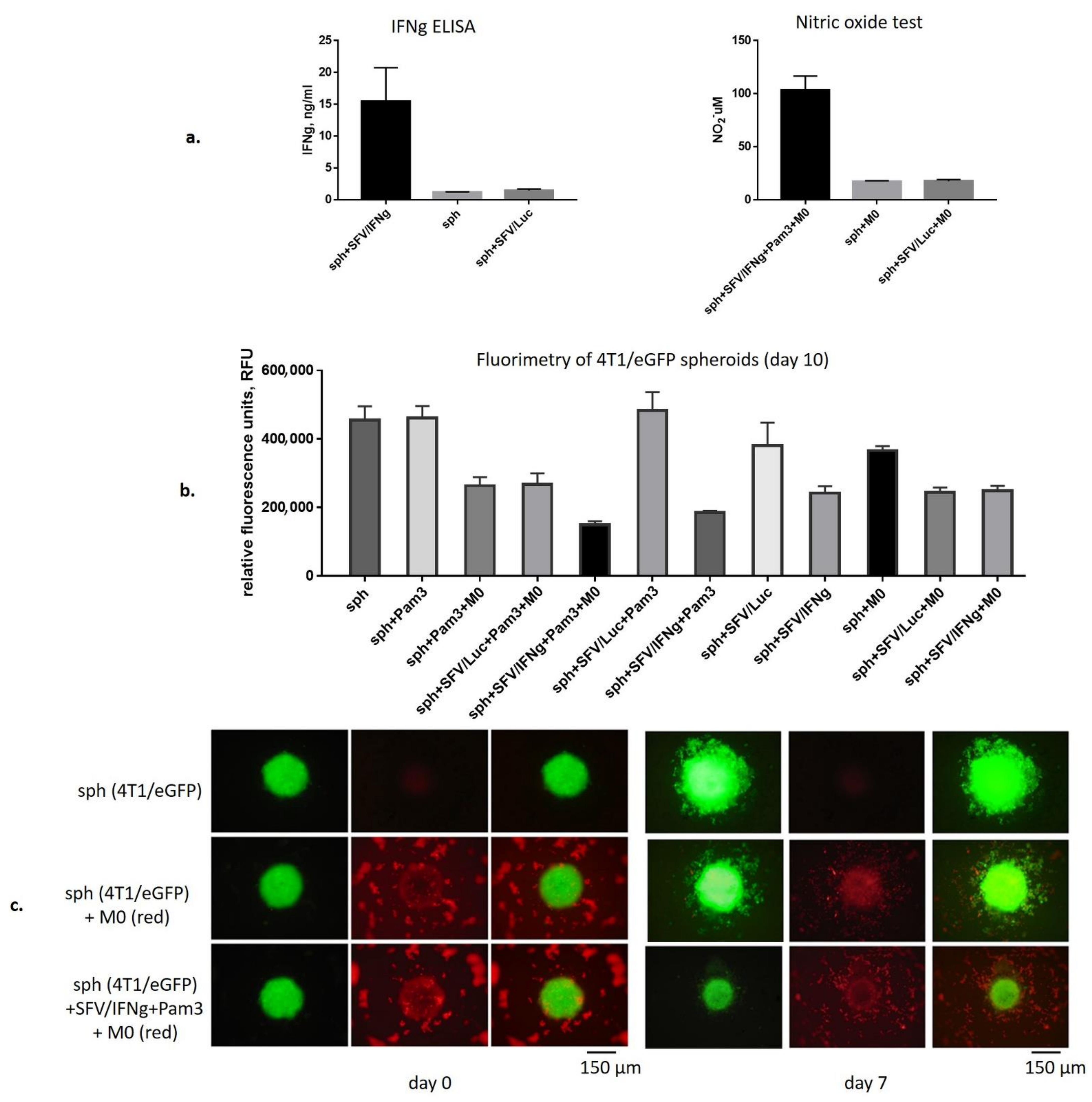 Vaccines 09 01247 g003 Vaccines 09 01247 g003