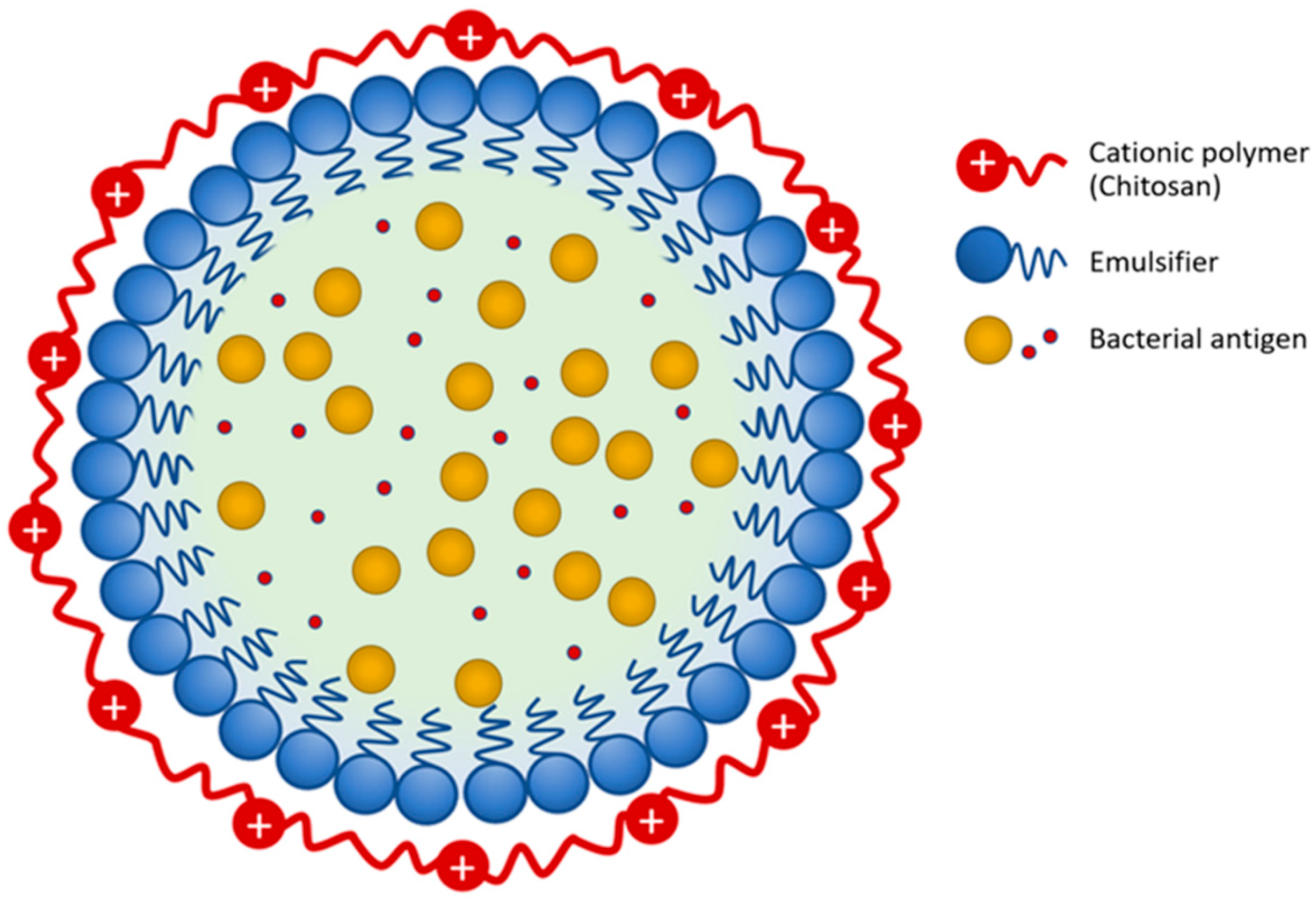 Vaccines 09 01253 g001
