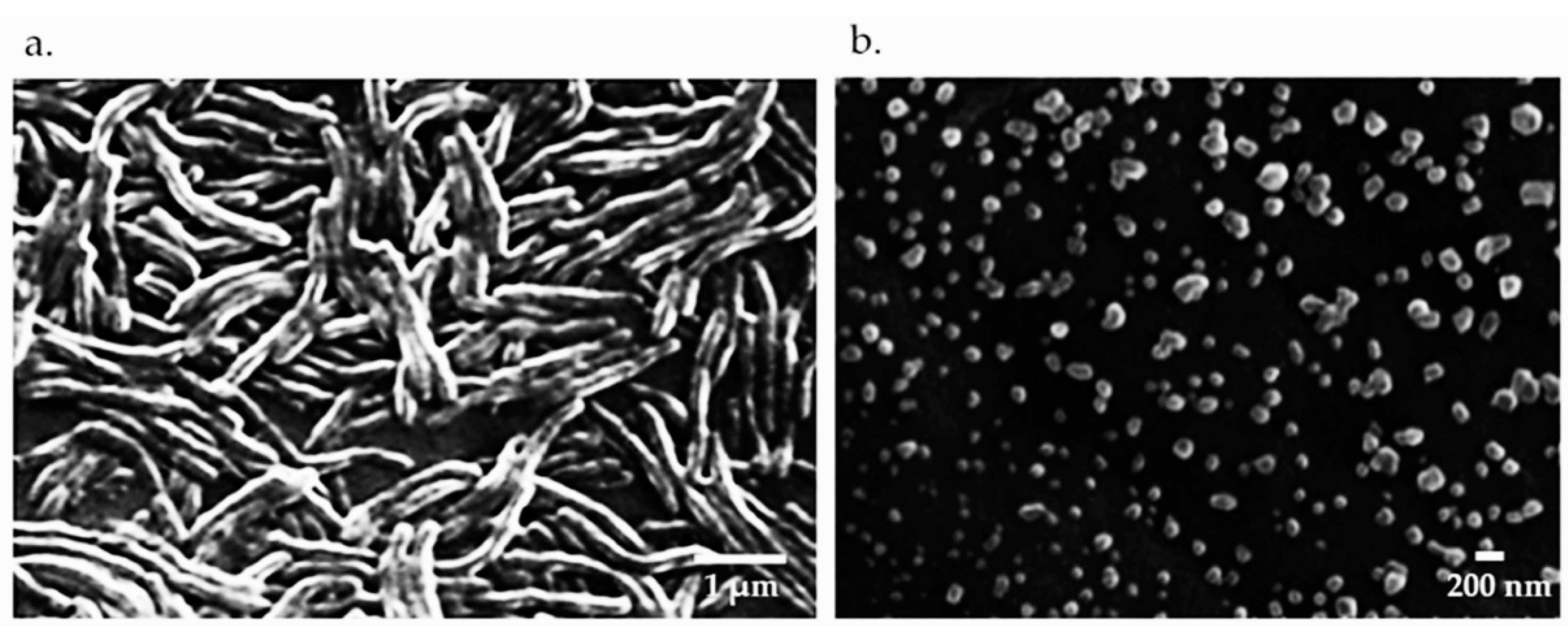 Vaccines 09 01253 g002