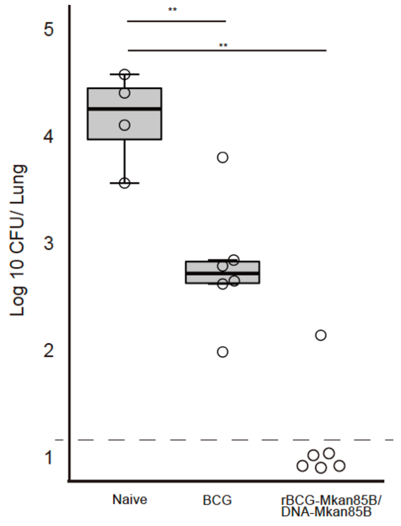 Vaccines 09 01260 g003 Vaccines 09 01260 g003