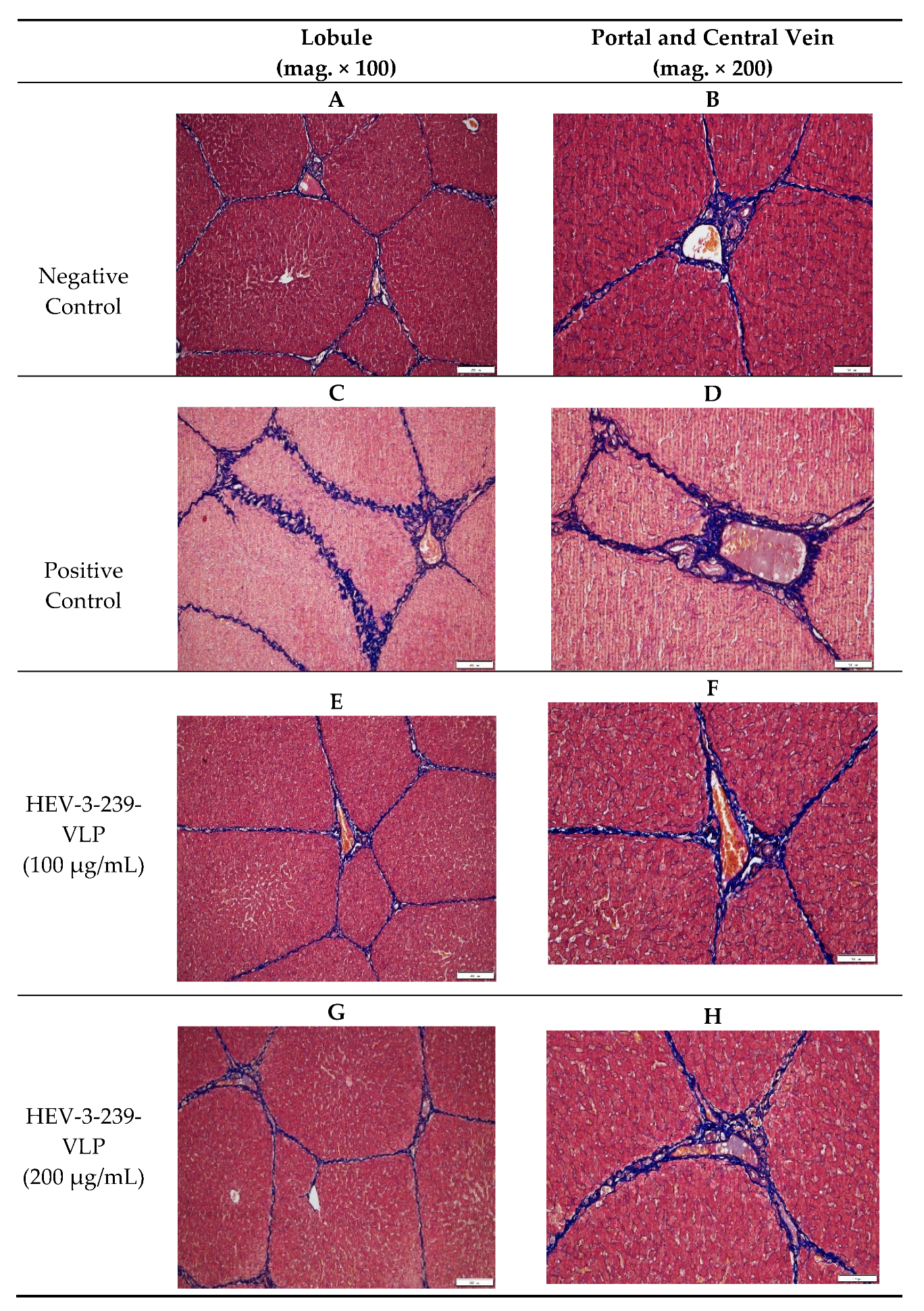 Vaccines 09 01265 g005