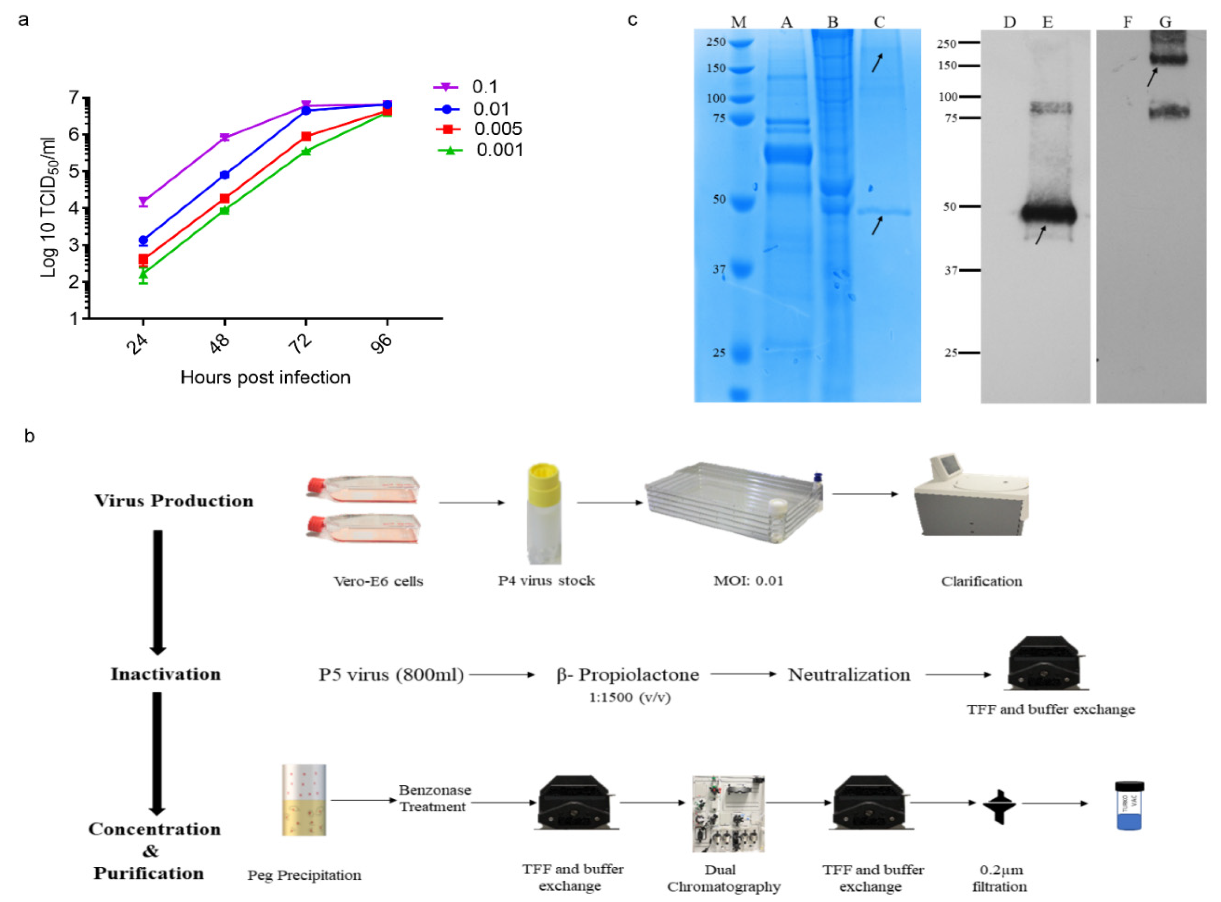 Vaccines 09 01266 g001 550