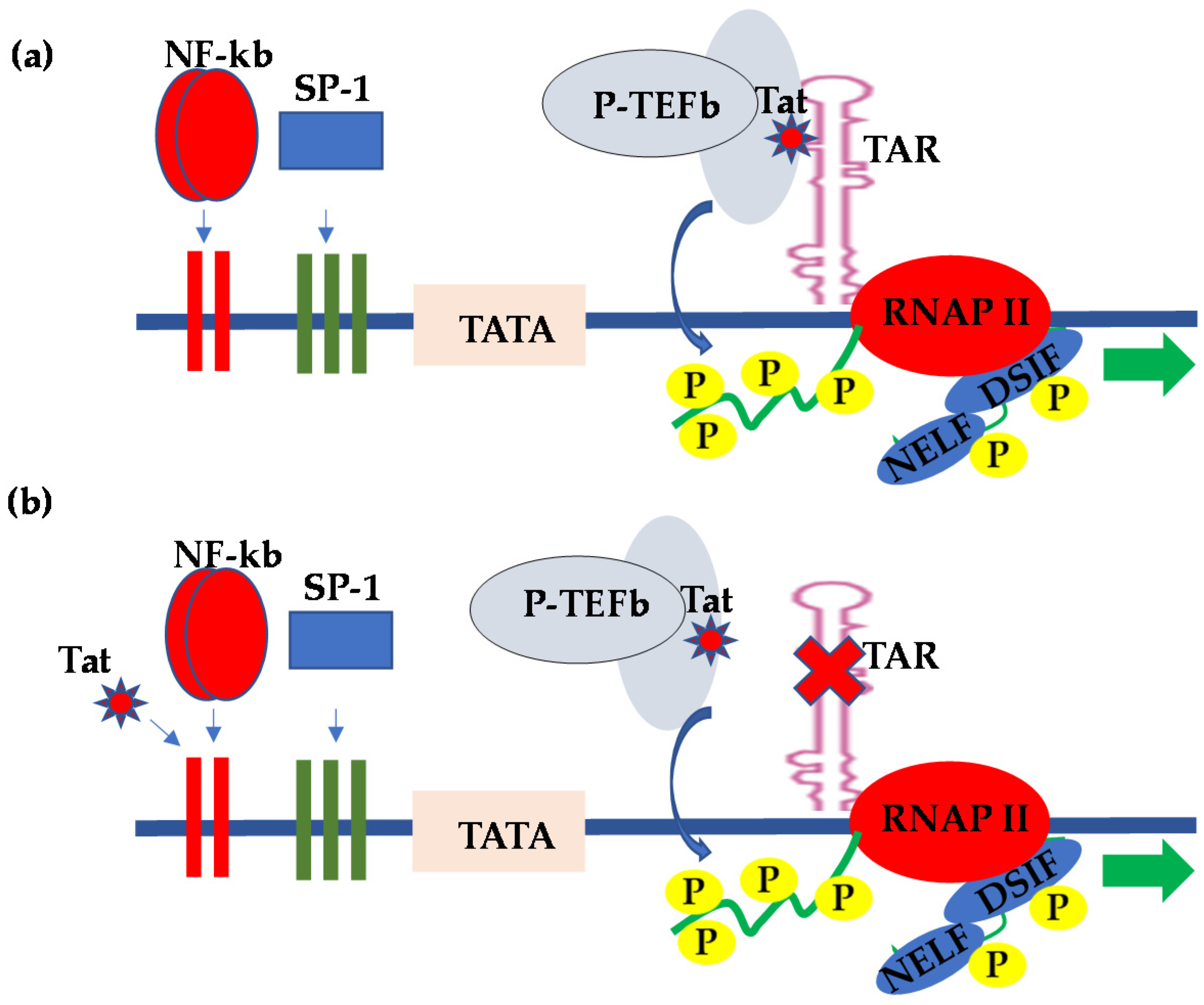 Vaccines 09 01272 g001 Vaccines 09 01272 g001