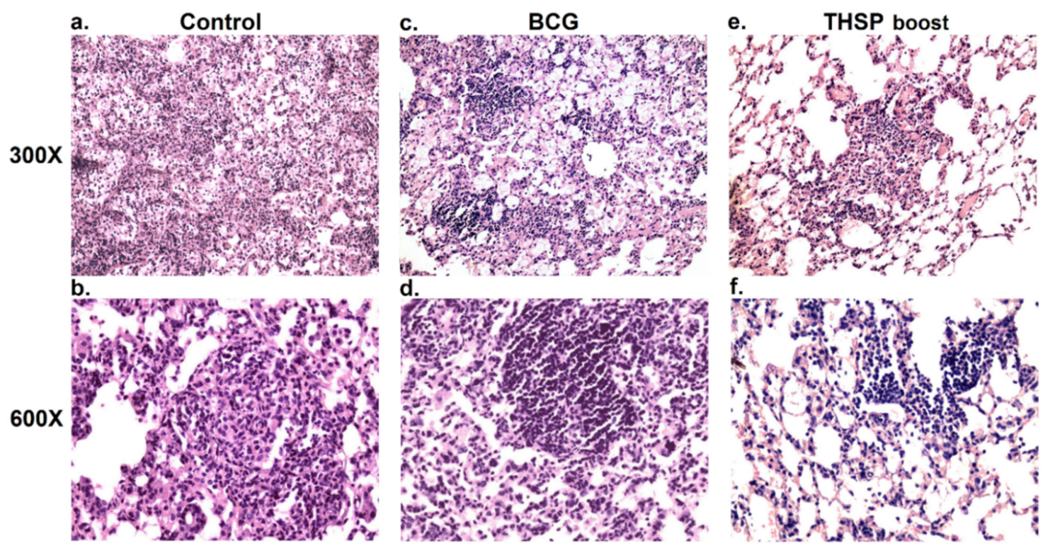 Vaccines 09 01273 g004 550