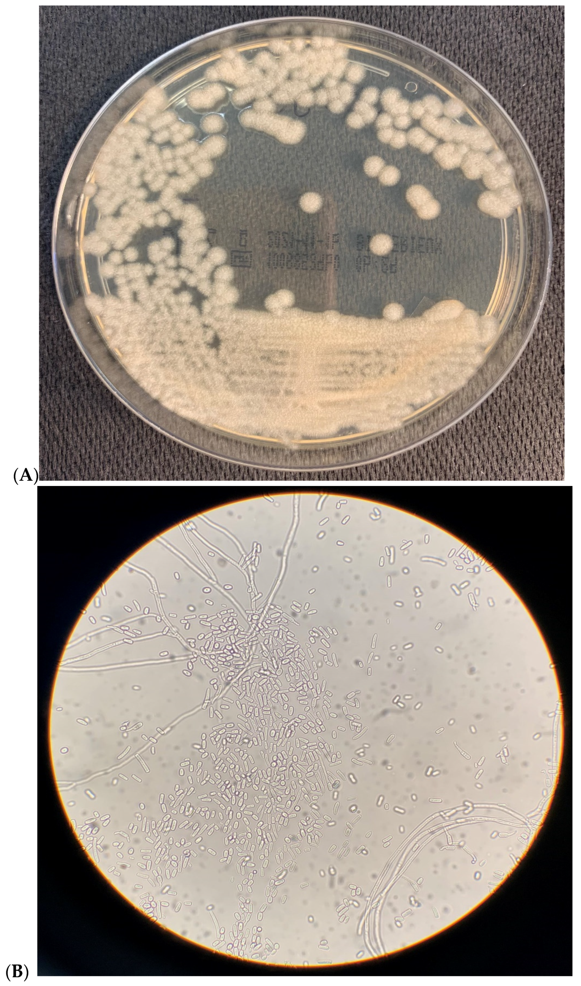 Vaccines 09 01289 g001a