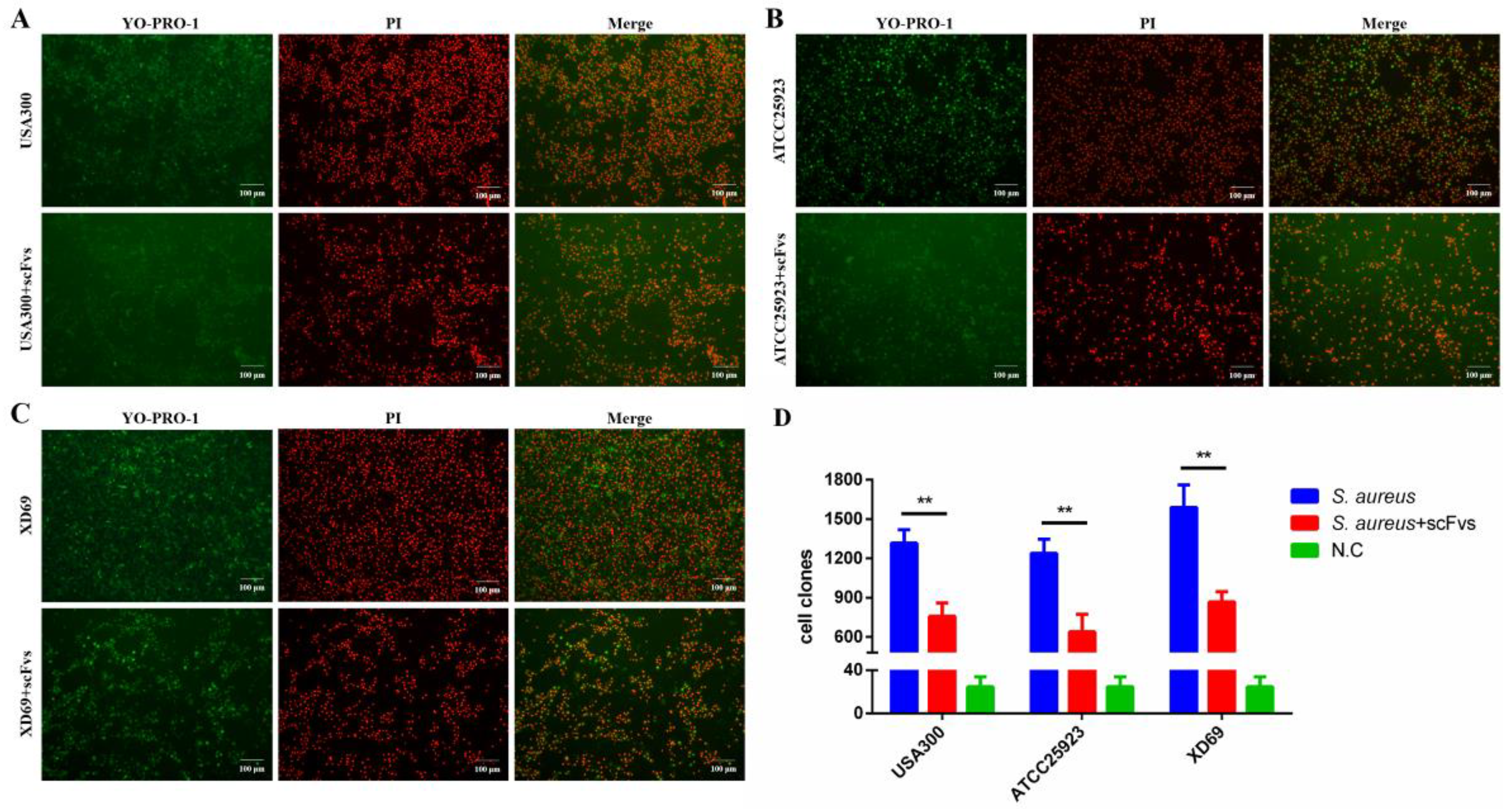 Vaccines 09 01300 g005 550