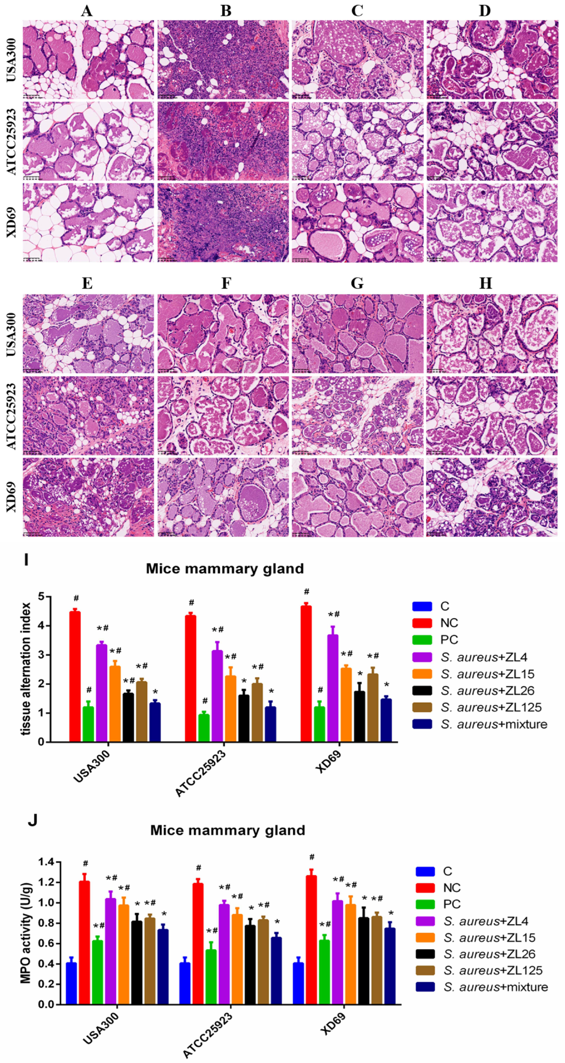 Vaccines 09 01300 g007 550