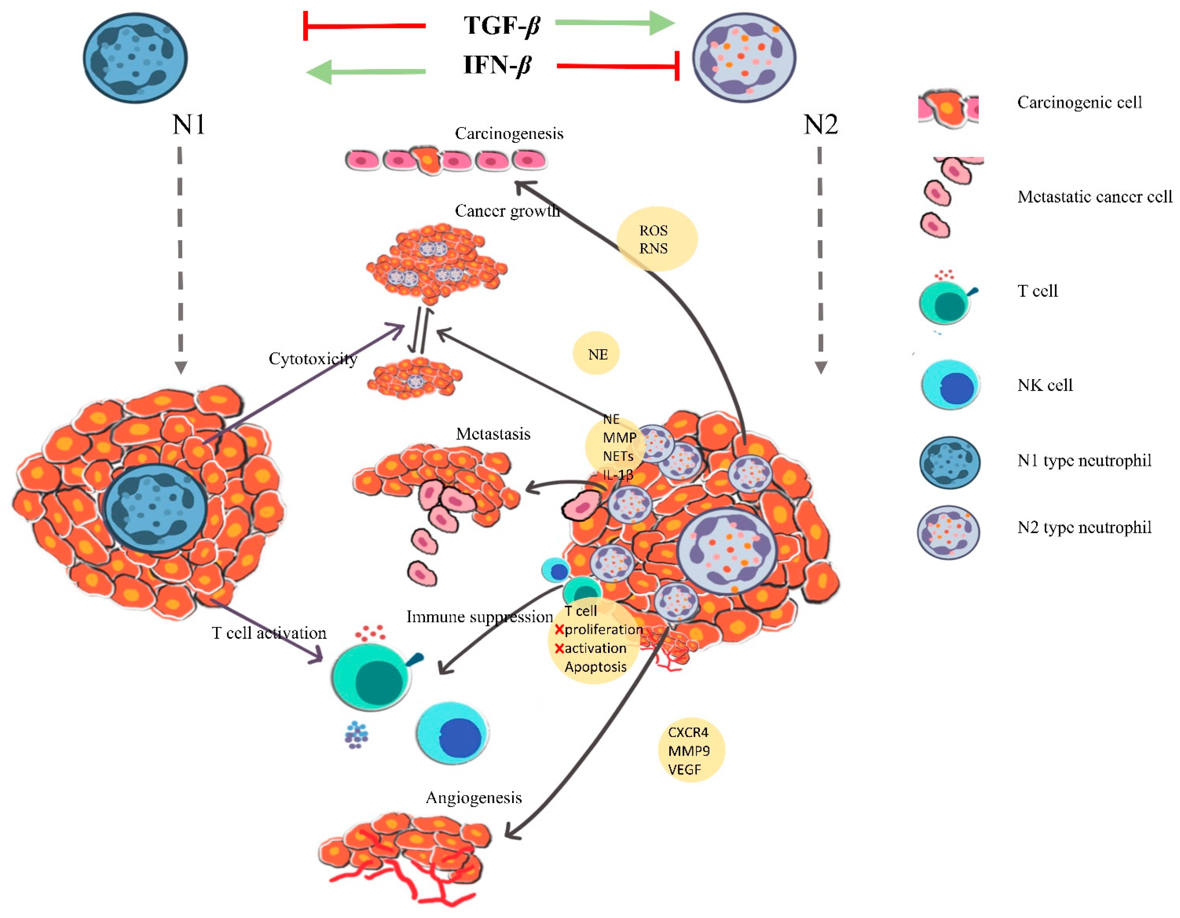 Vaccines 09 01306 g002 Vaccines 09 01306 g002
