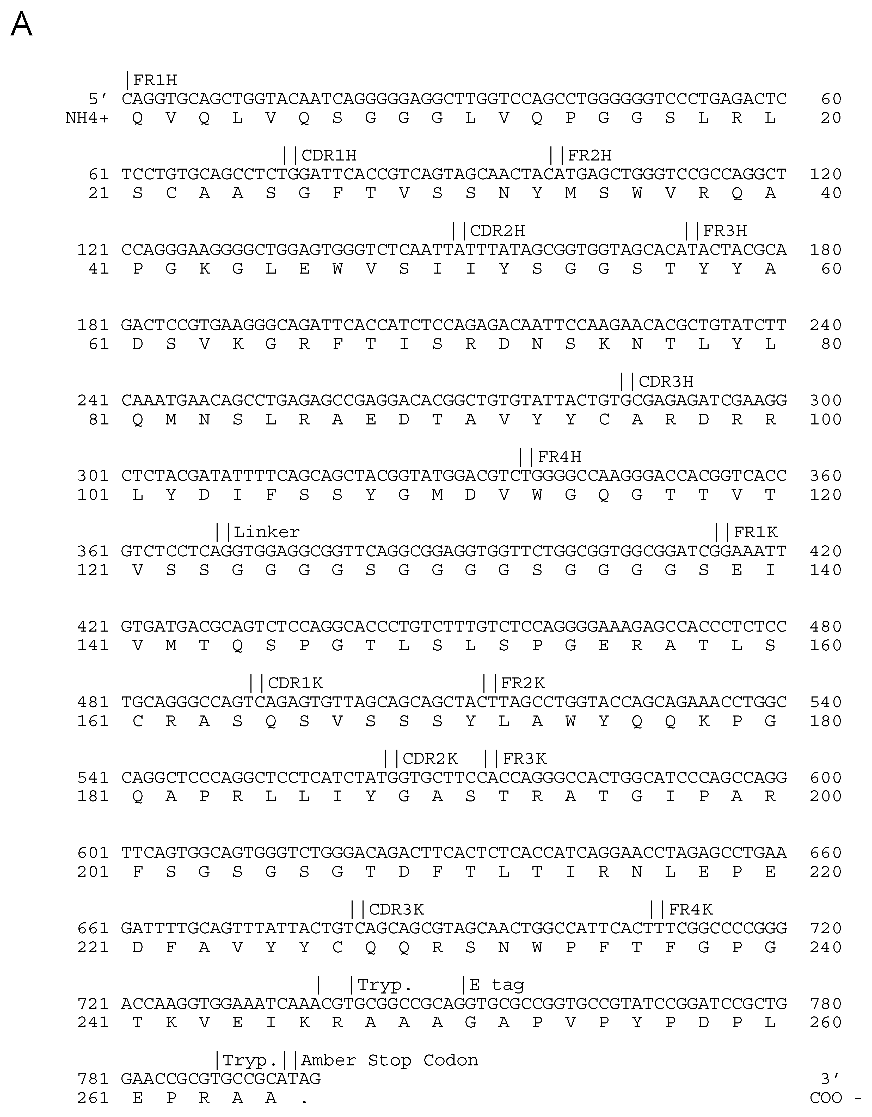 Vaccines 09 01308 g003a