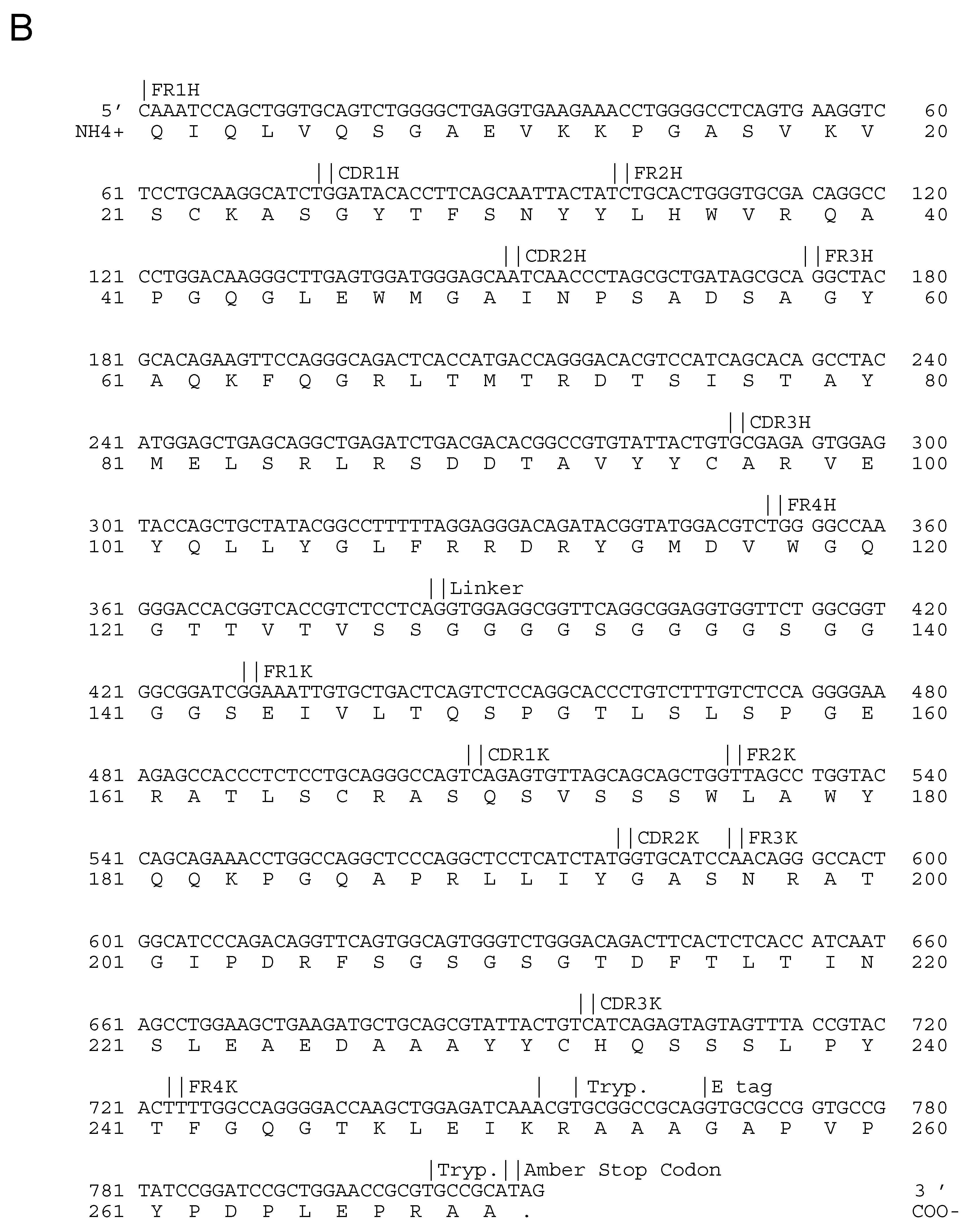 Vaccines 09 01308 g003b