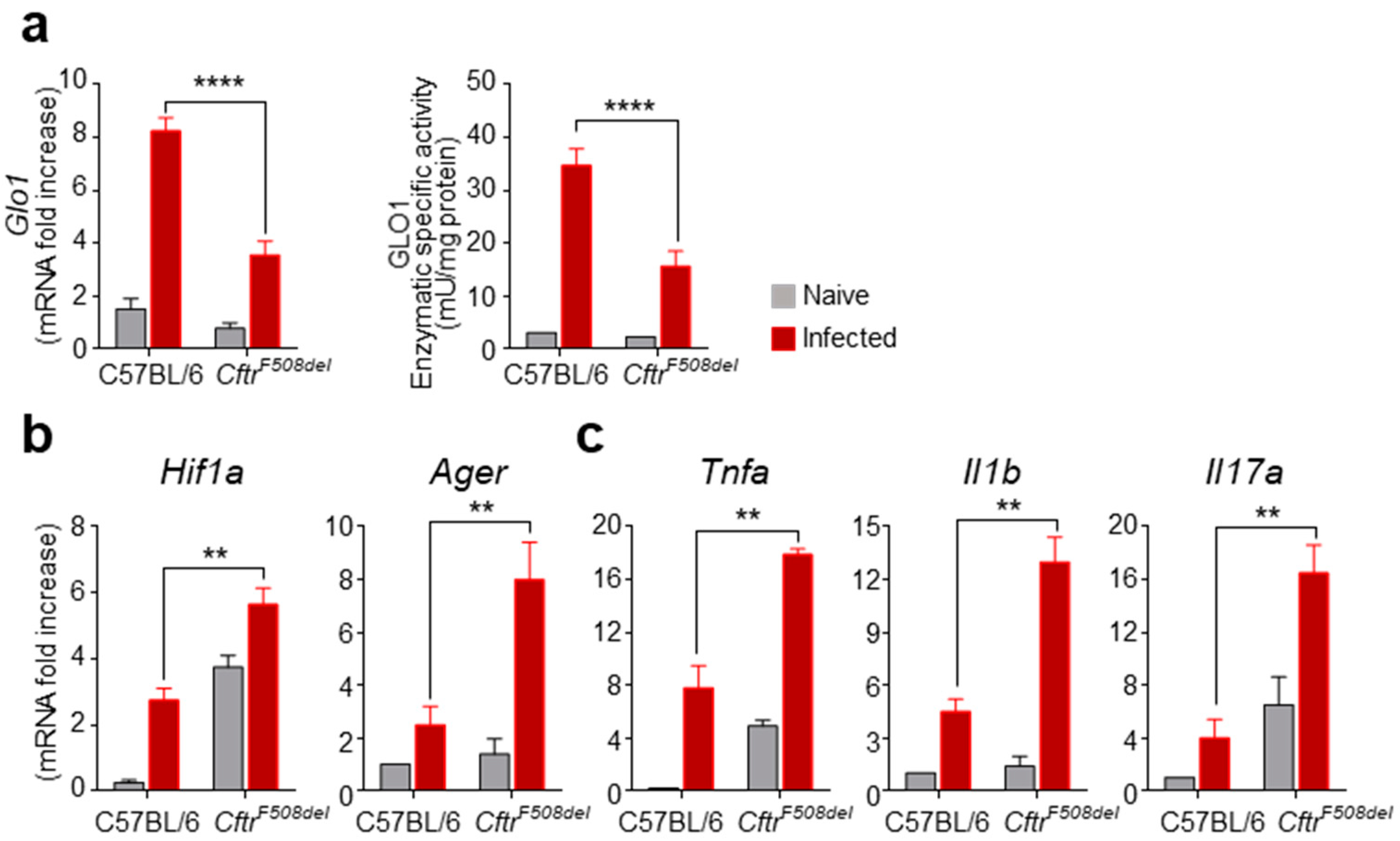 Vaccines 09 01311 g001
