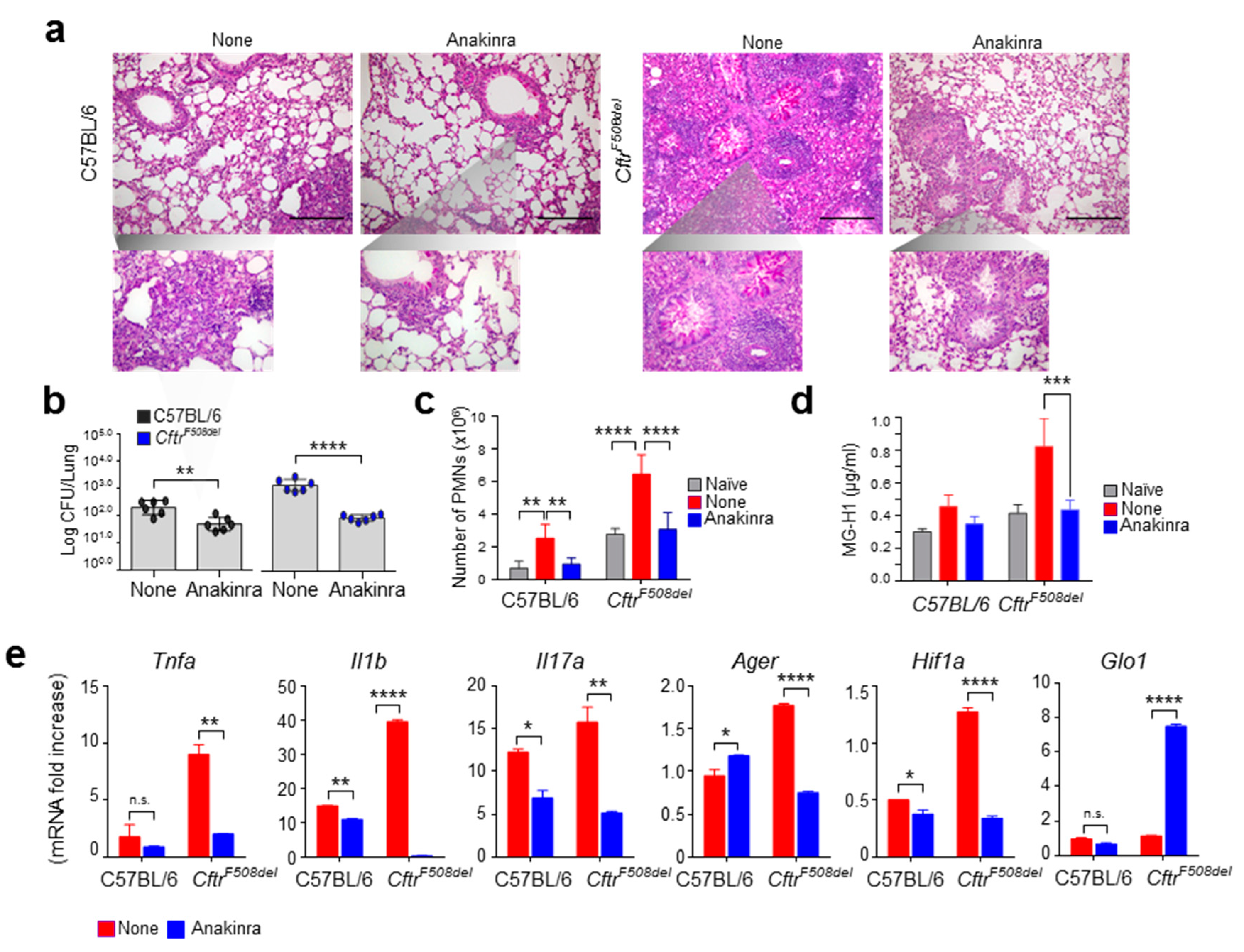 Vaccines 09 01311 g003