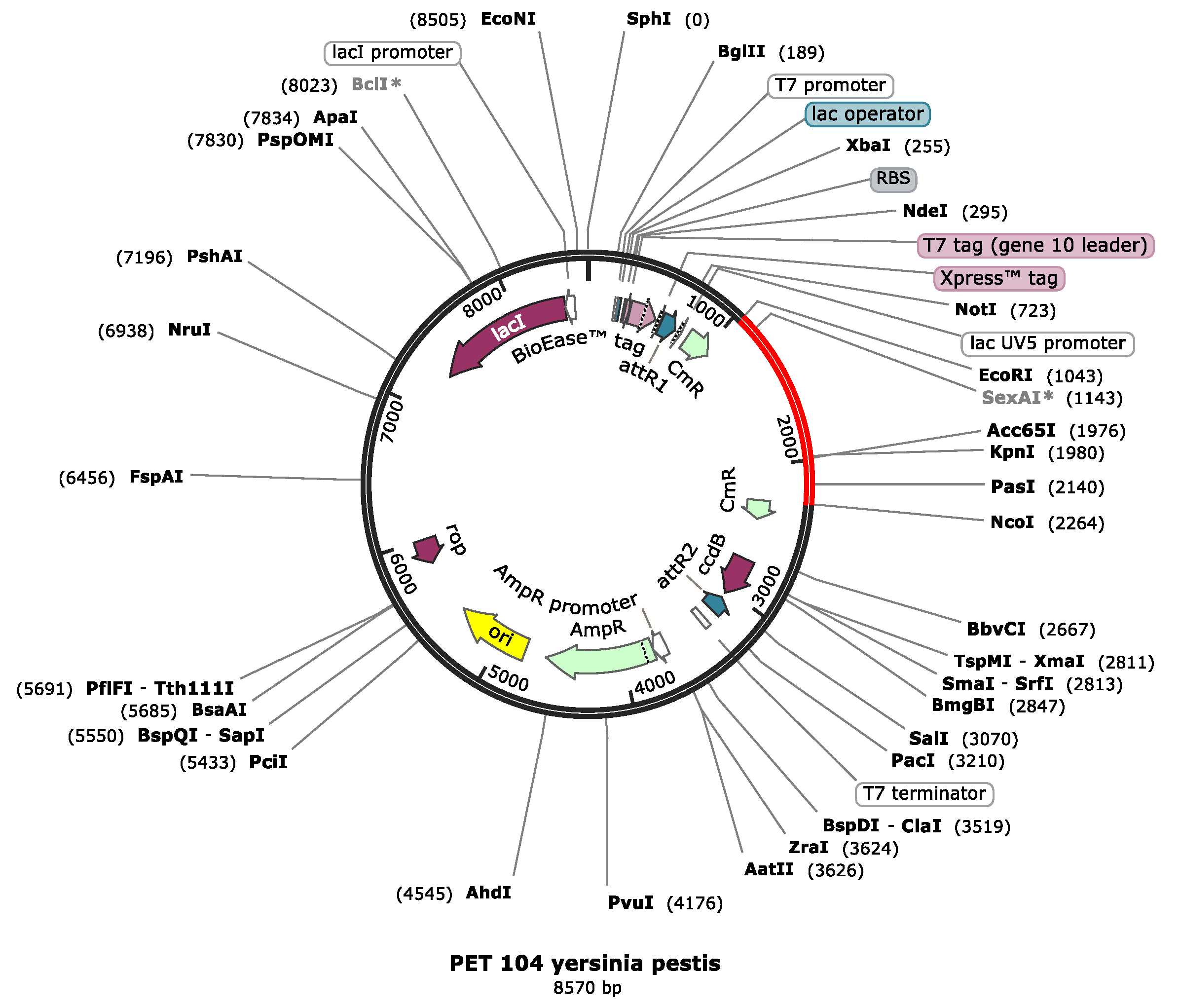 Vaccines 09 01327 g009