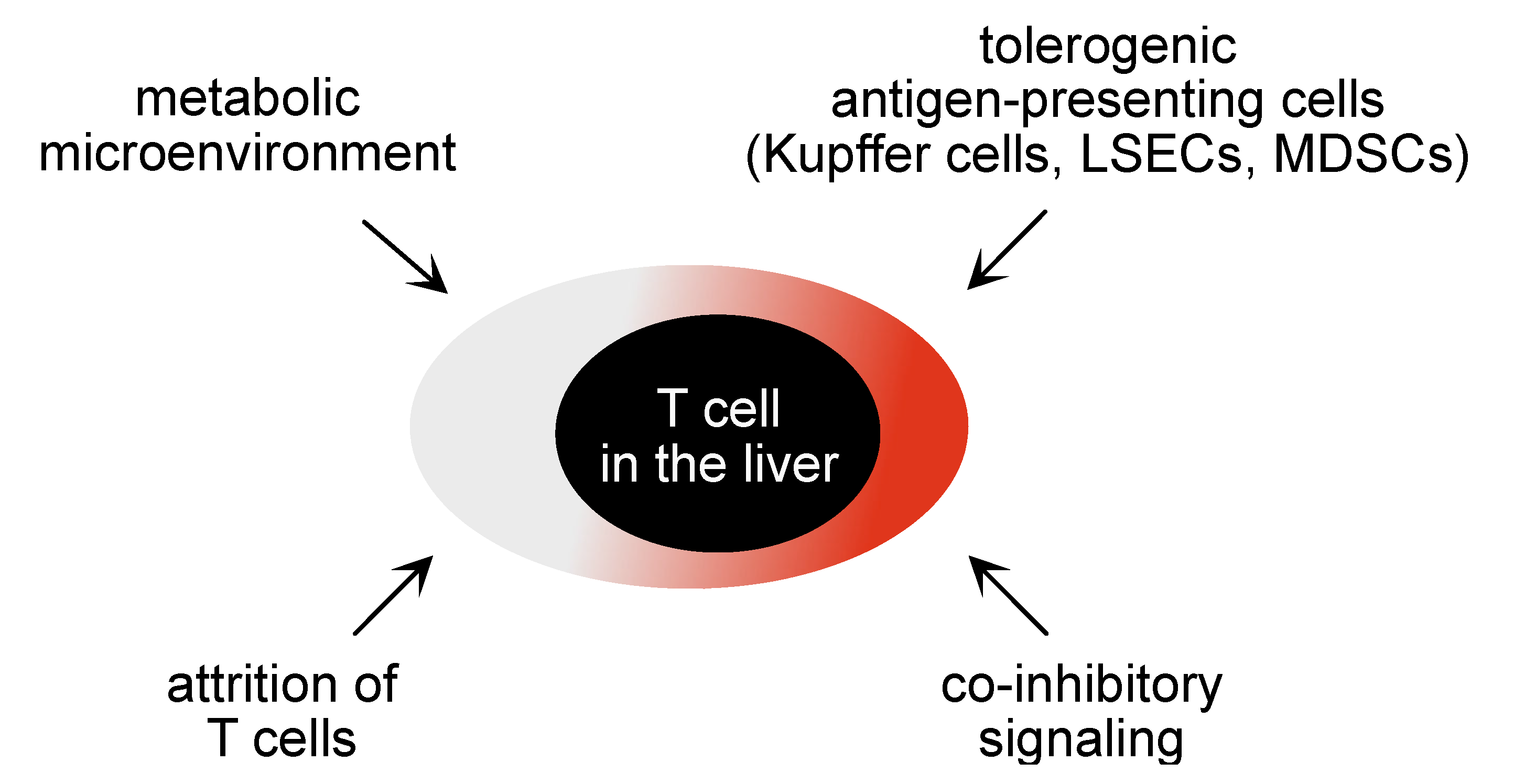 Vaccines 09 01333 g001