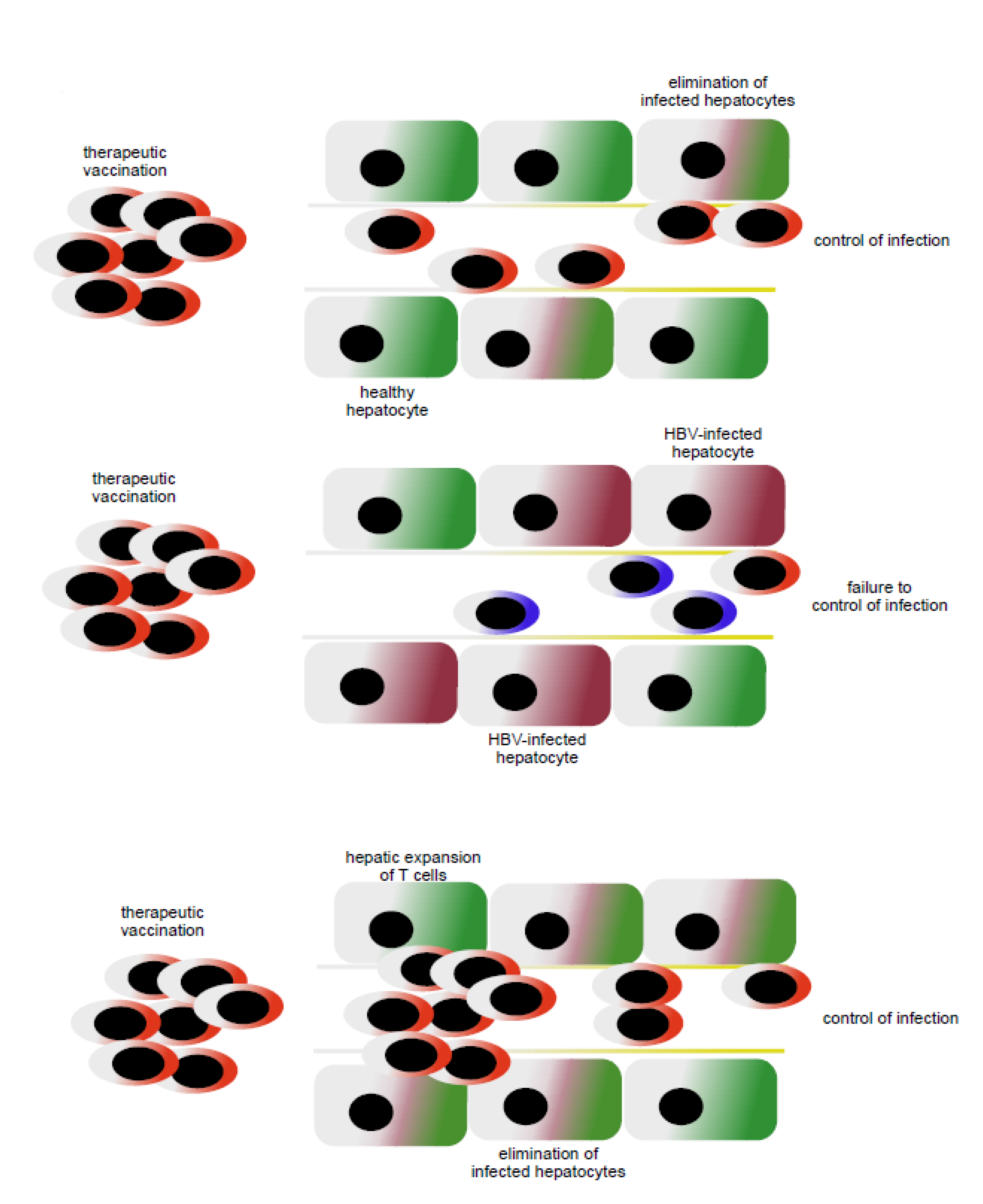 Vaccines 09 01333 g002