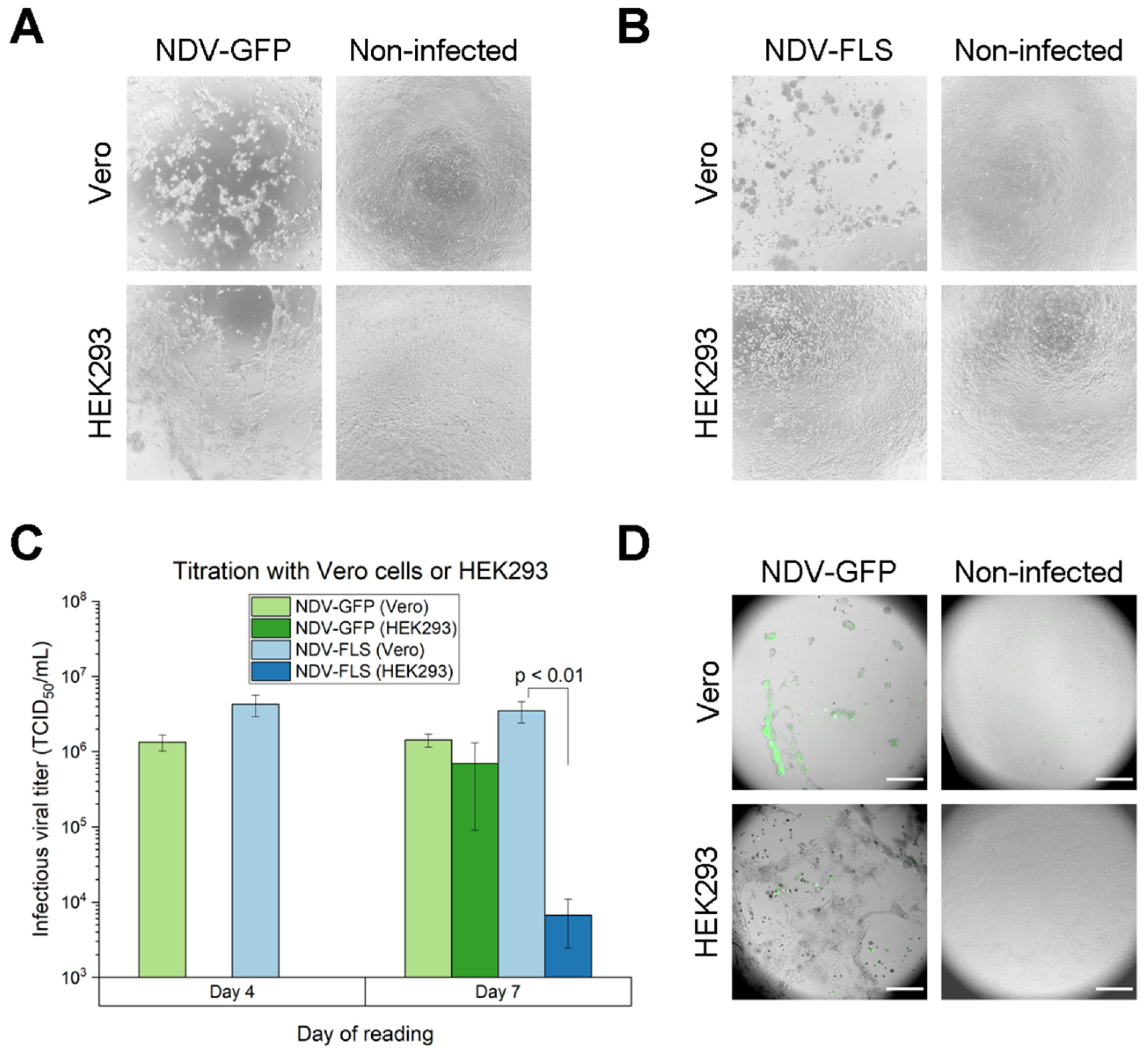 vaccines free full text process development for newcastle disease virus vectored vaccines in serum free vero cell suspension cultures html