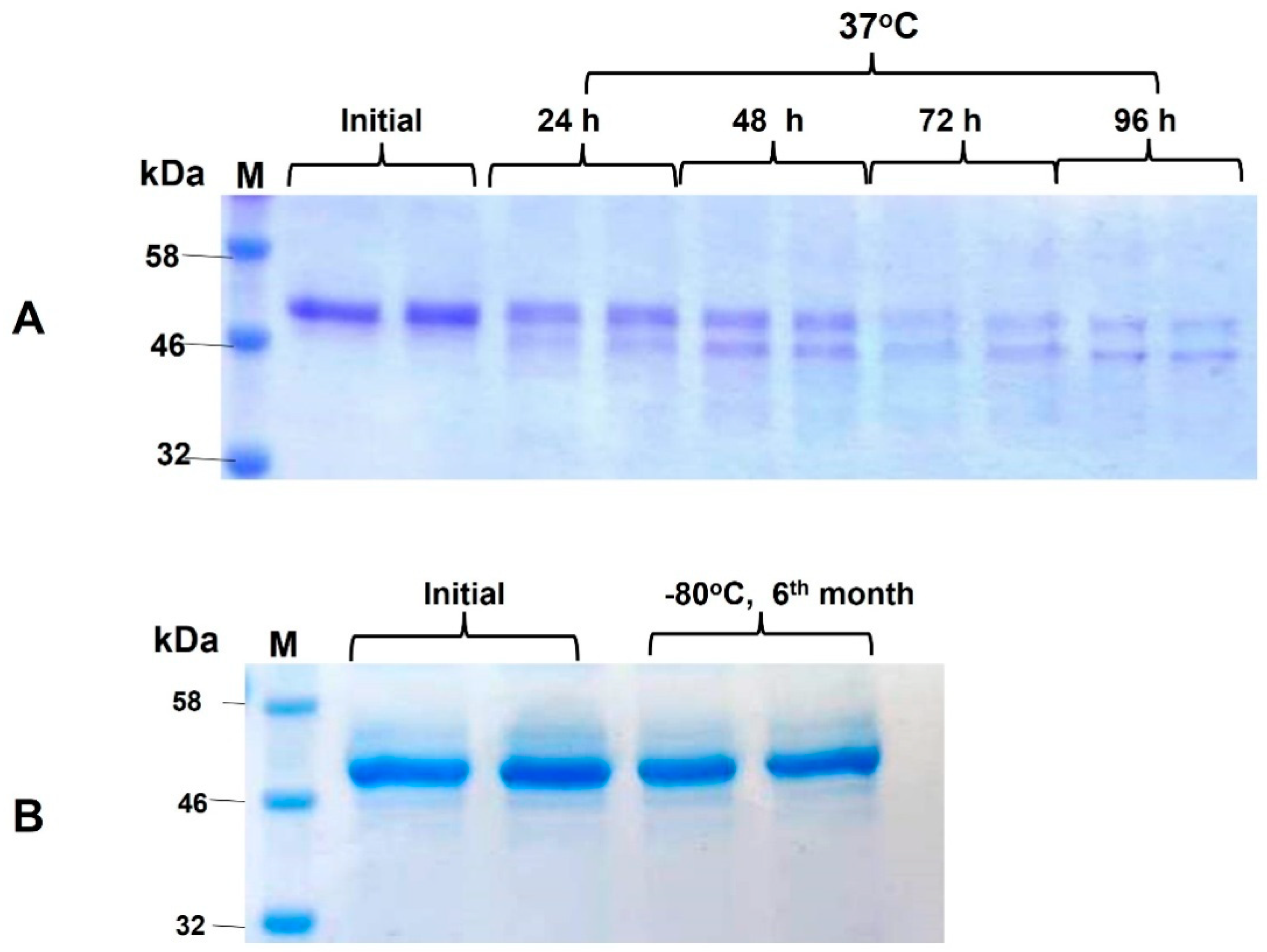 Vaccines 09 01337 g004