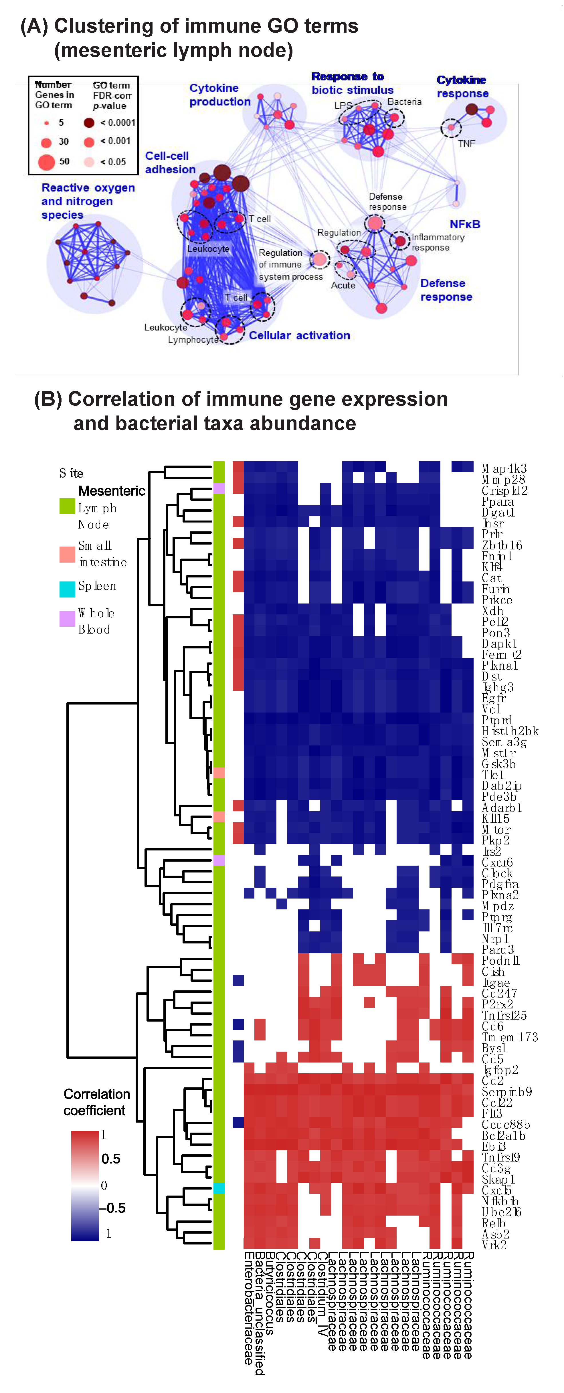 Vaccines 09 01340 g004