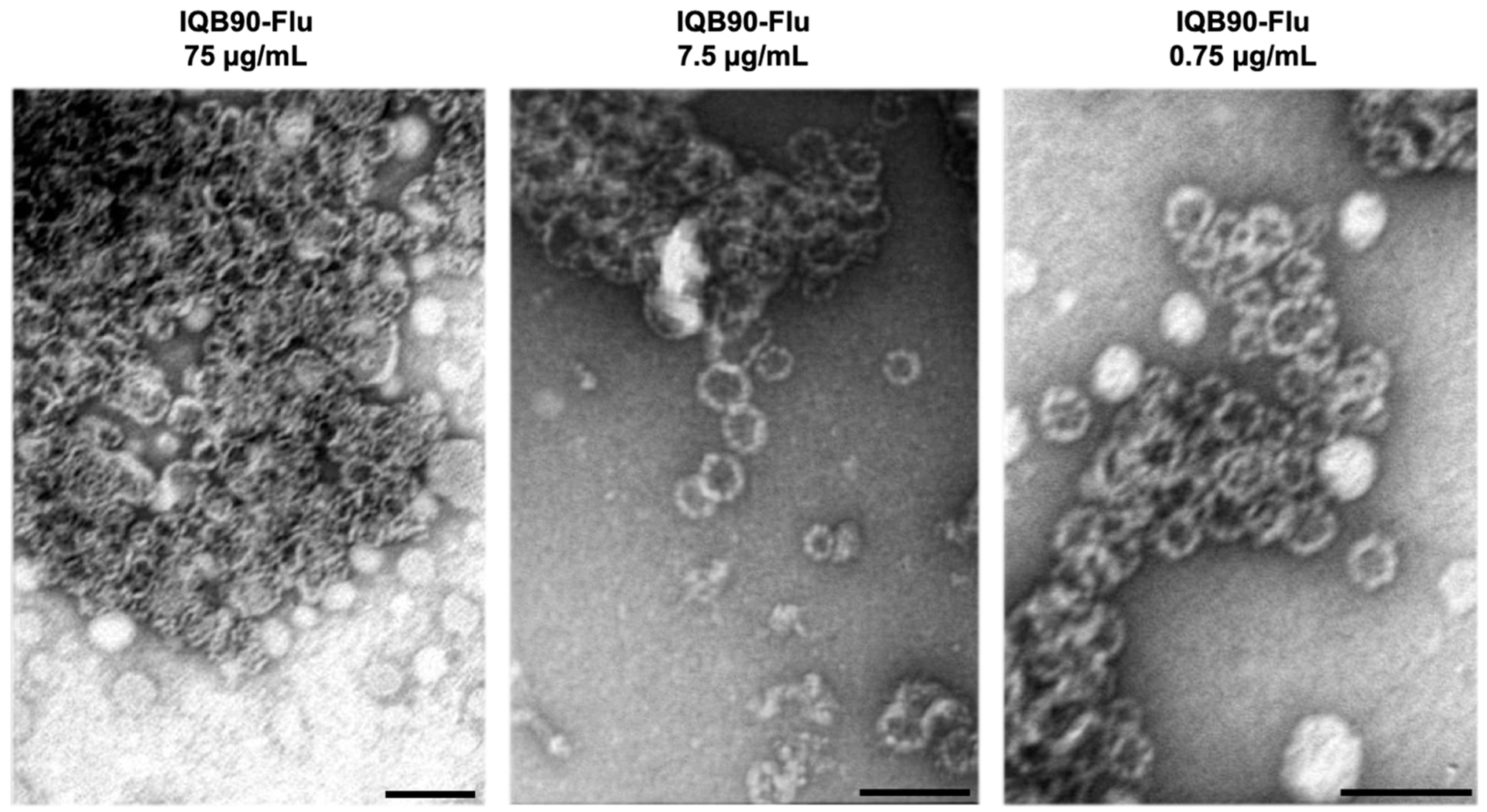 Vaccines 09 01350 g001