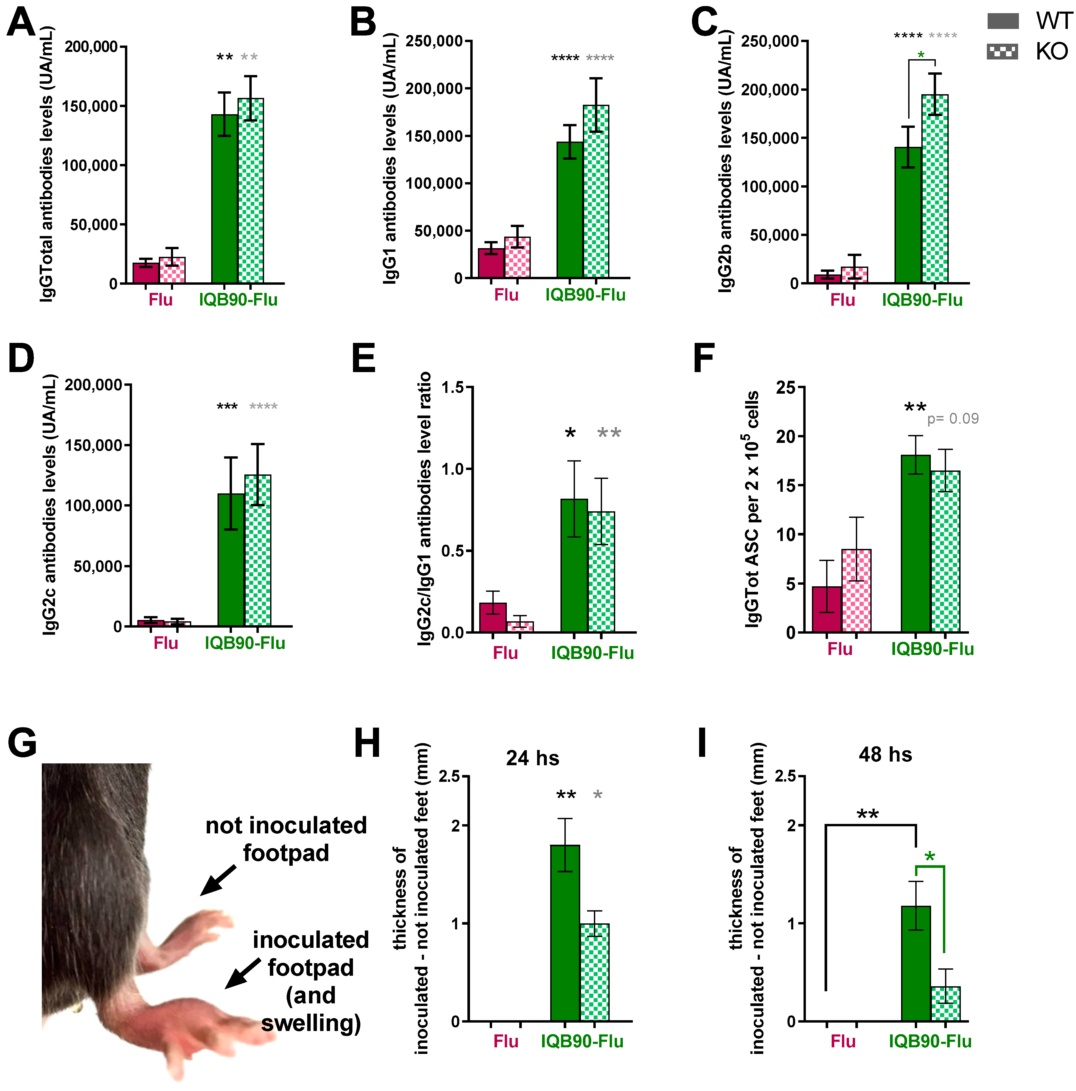 Vaccines 09 01350 g006