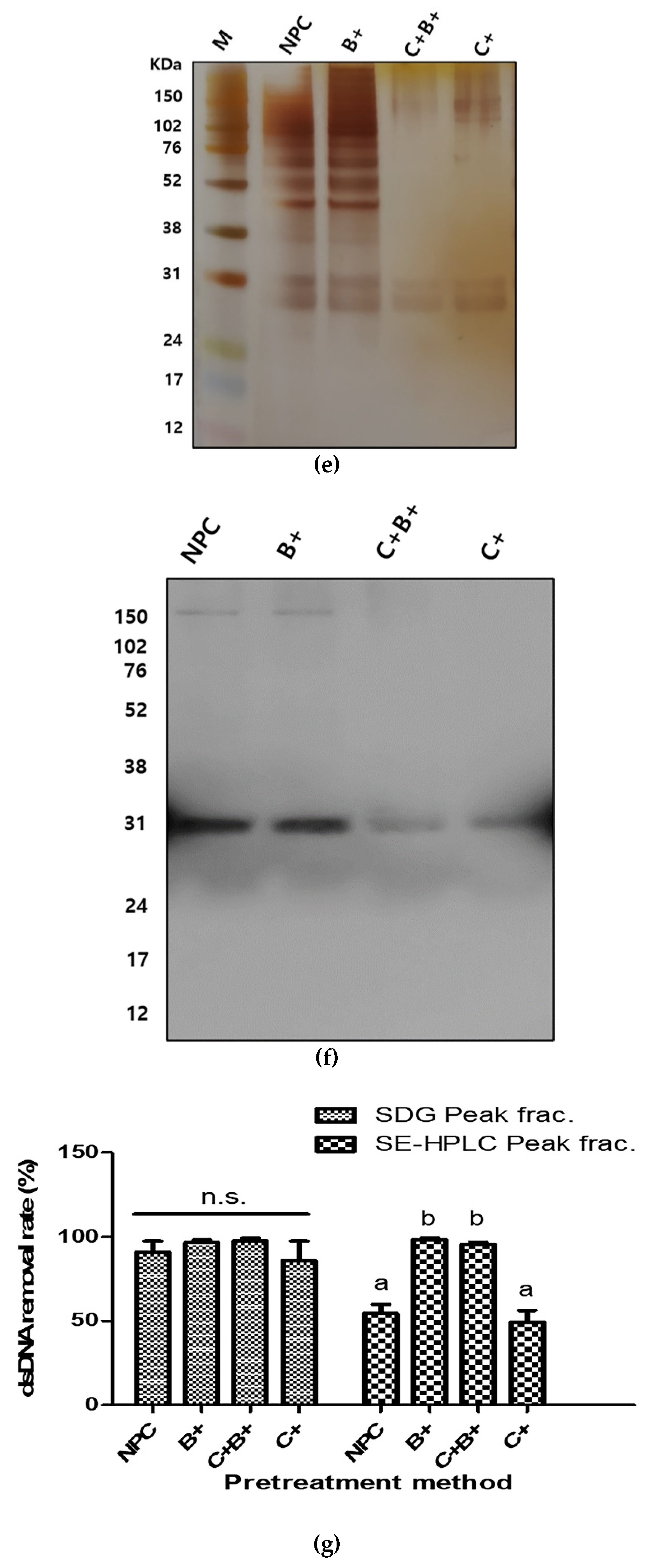 Vaccines 09 01361 g001b