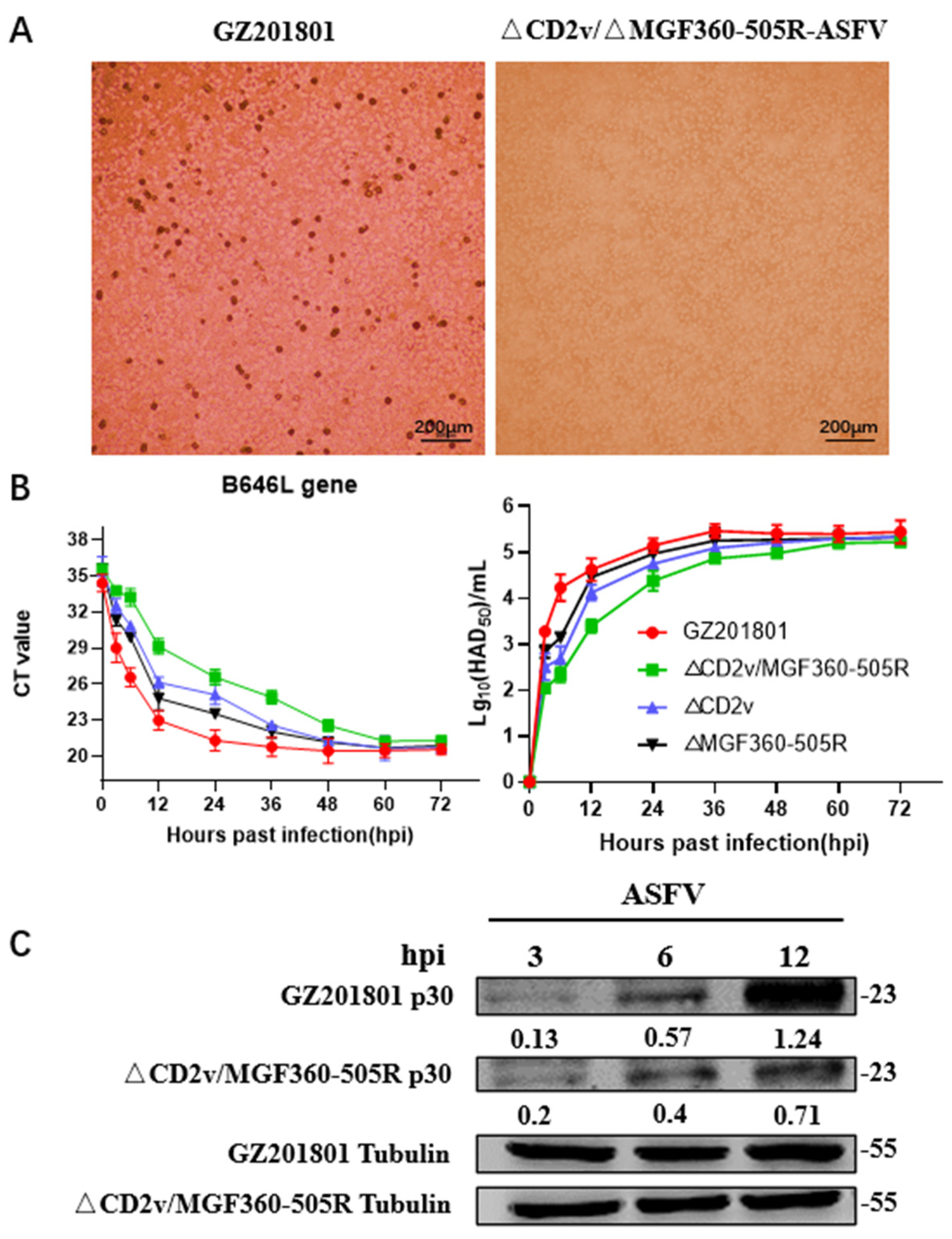 Vaccines 09 01371 g001