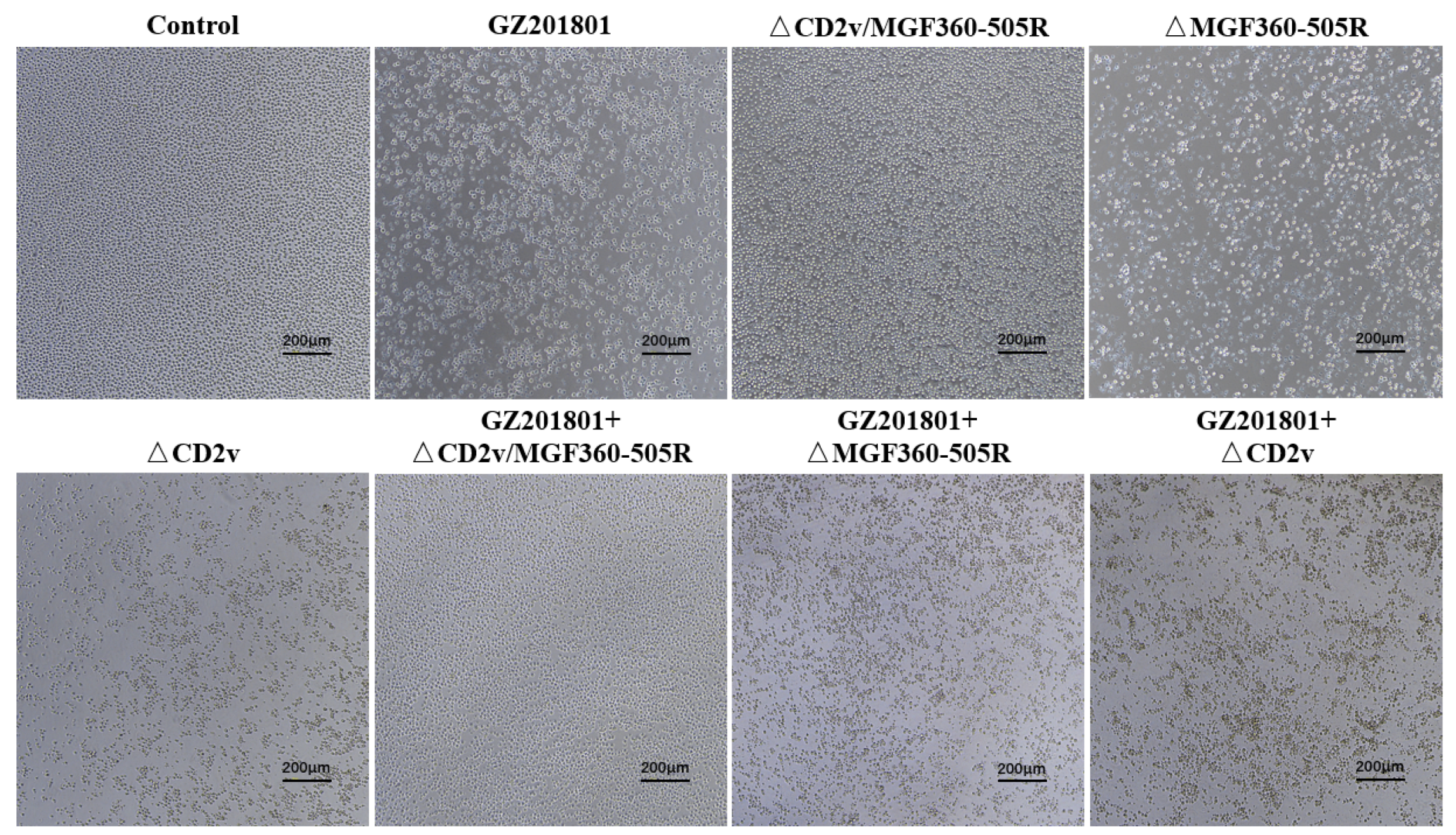 Vaccines 09 01371 g002