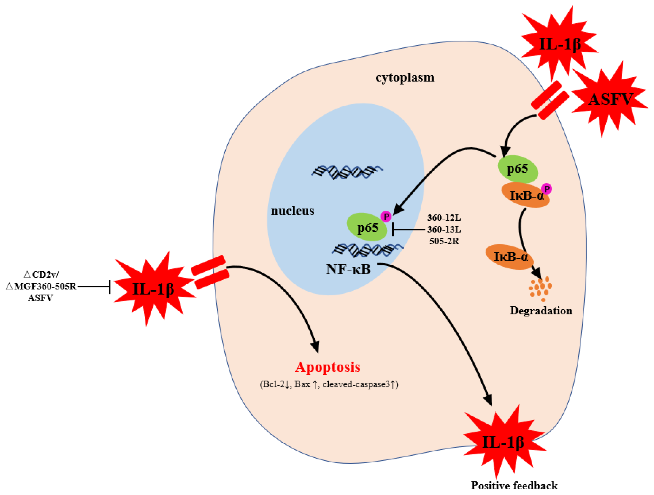 Vaccines 09 01371 g007
