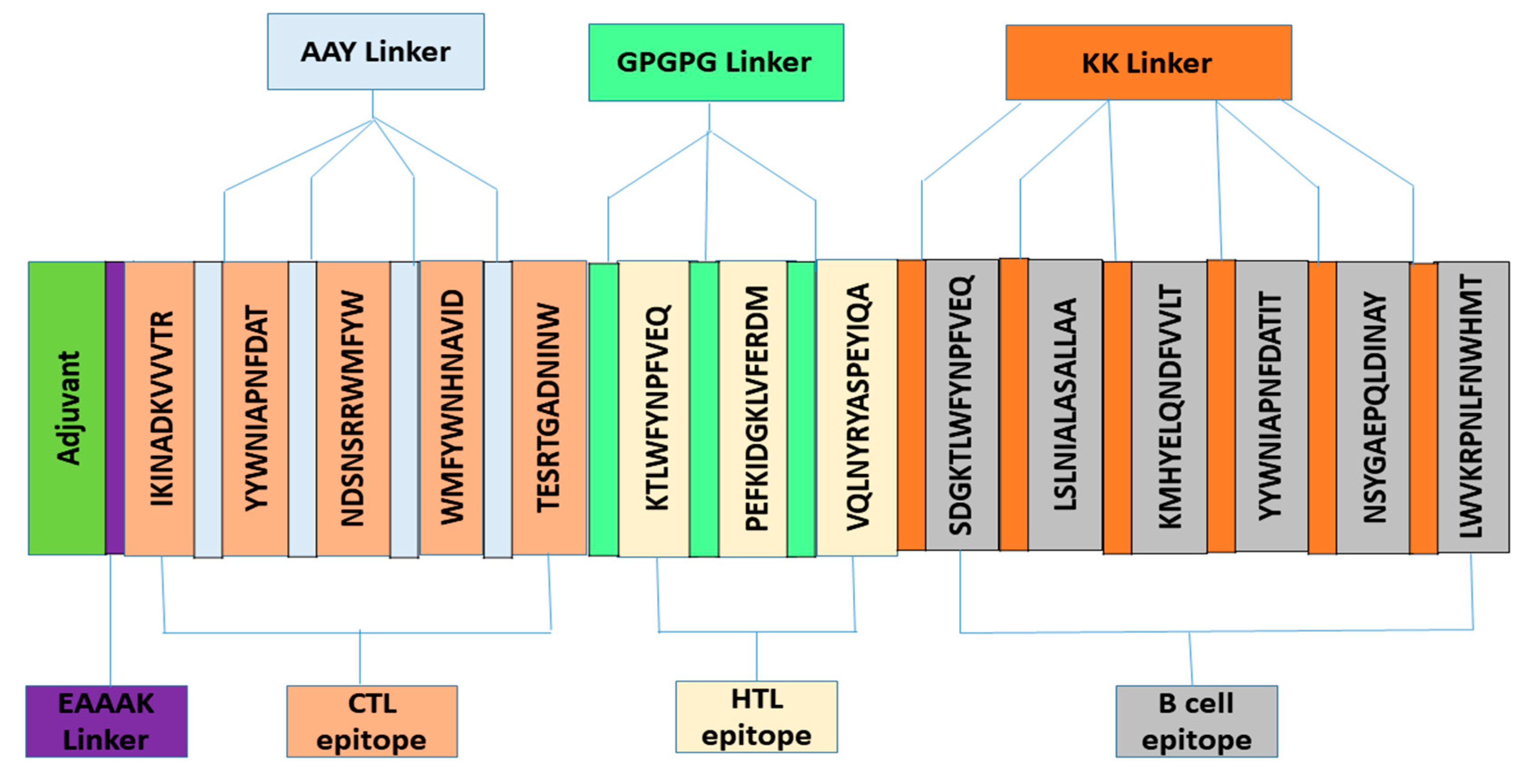 Vaccines 09 01373 g002 Vaccines 09 01373 g002